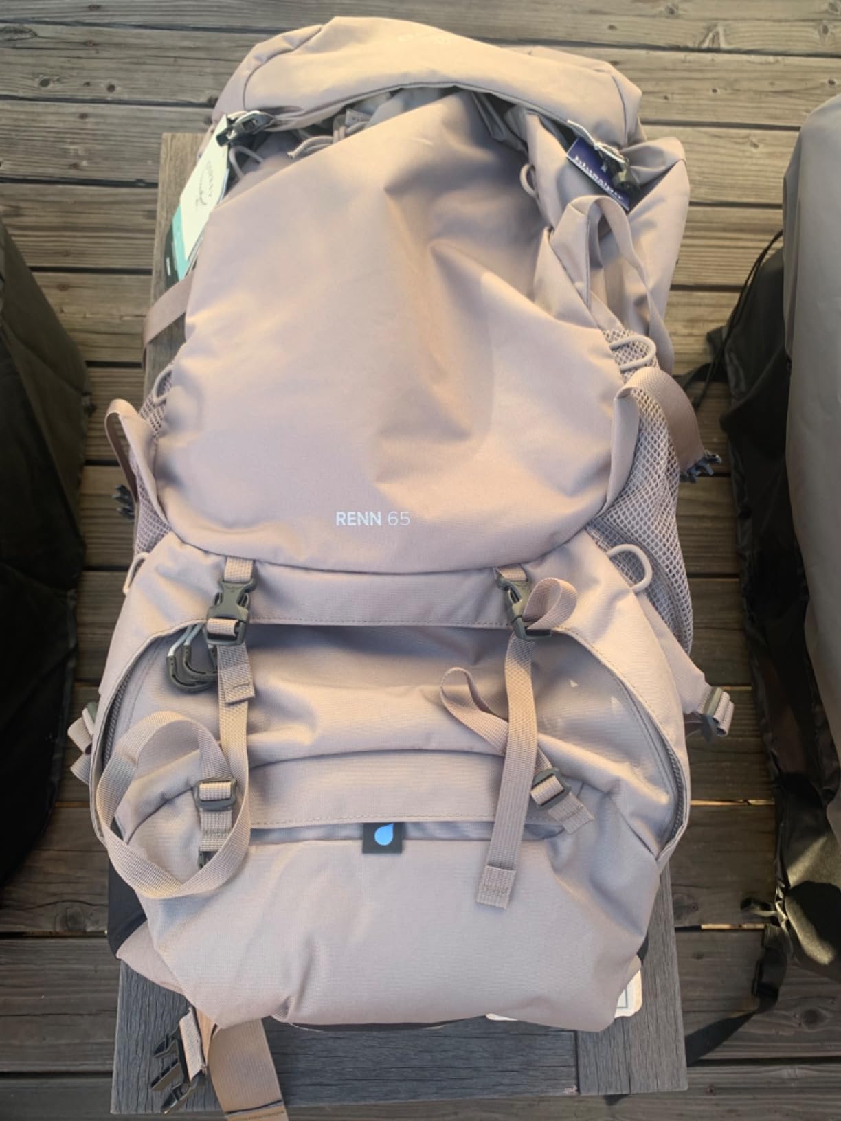 Osprey Renn 65L Women's Backpacking Backpack, Blue OS customer photo 2