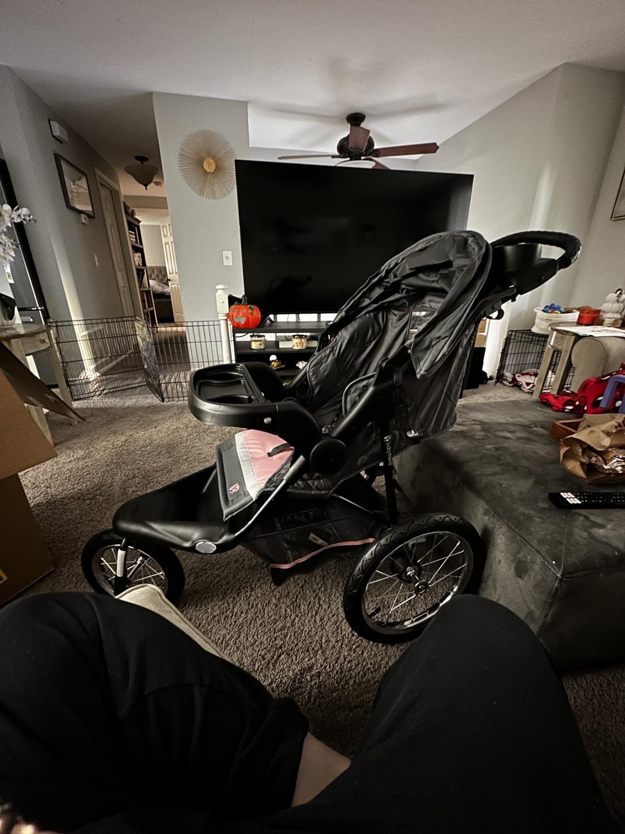 Baby Trend Expedition® DLX Jogger Travel System with EZ-Lift™ Plus Infant Car Seat, Dash Sage customer photo 2