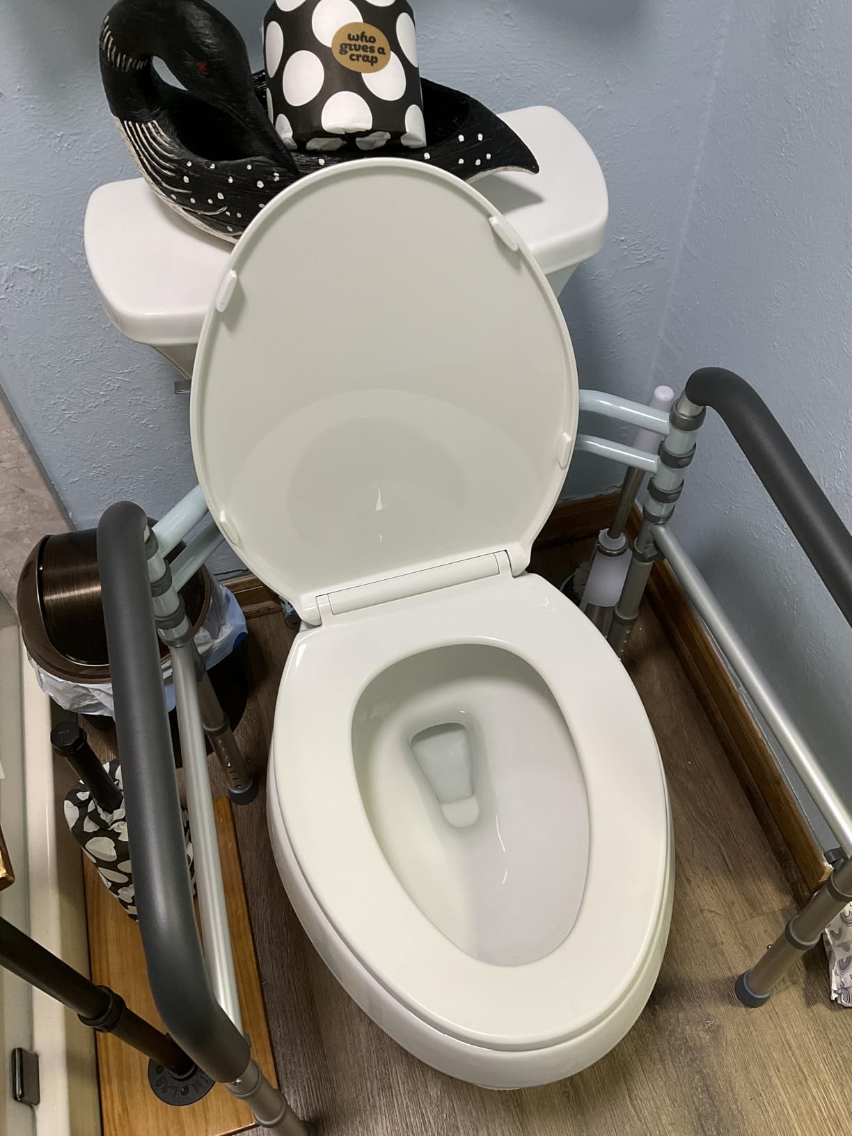 Lianjindun Toilet Safety Rails, 350 lbs, Adjustable Height & Width customer photo 1