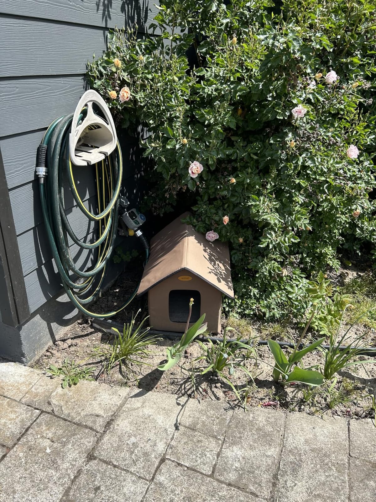 Heated Cat Houses for Outdoor Cats - Elevated Weatherproof Insulated Heated Outdoor Cat House for Winter - Feral Cat Shelter for Outside Cats - Outdoor Heated Cat House (Green) customer photo 1