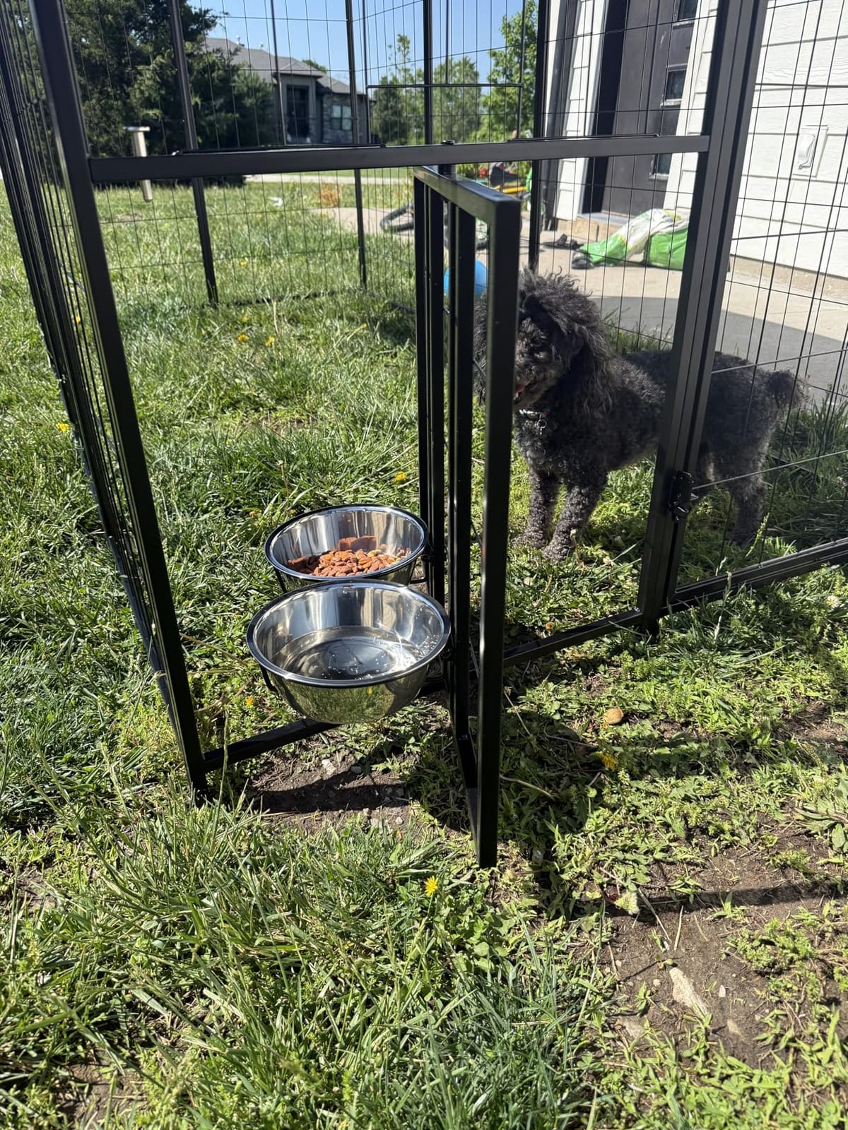 ROOMTEC Heavy Duty Outdoor Dog Kennel with Rotating Bowls, 8 x 4 x 5.6-ft customer photo 2