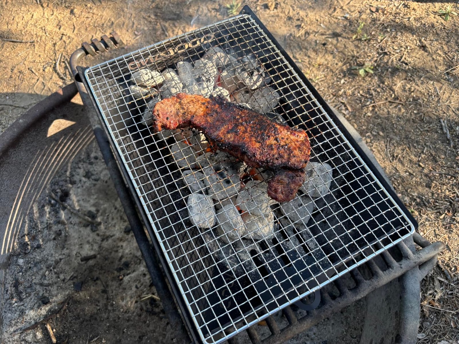 Odoland Portable Folding Charcoal Grills for Outdoor Cooking Bonfire BBQ customer photo 2