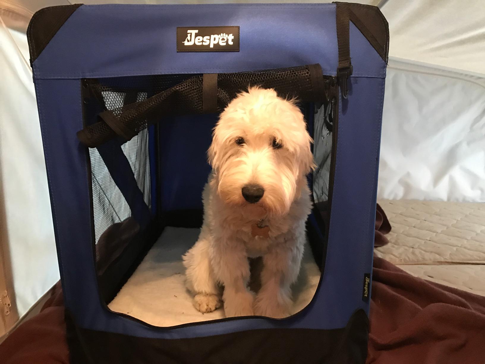 JESPET 3 Door Soft Dog Crates Kennel, Collapsible Travel Pet Carrier customer photo 1