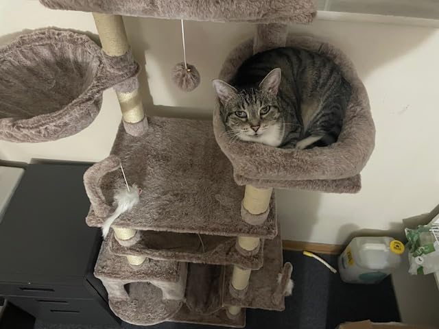 Gitelsnour Cat Tree, 63'' Cat Tower for Large Cats, Big Hammock GCT020G customer photo 1