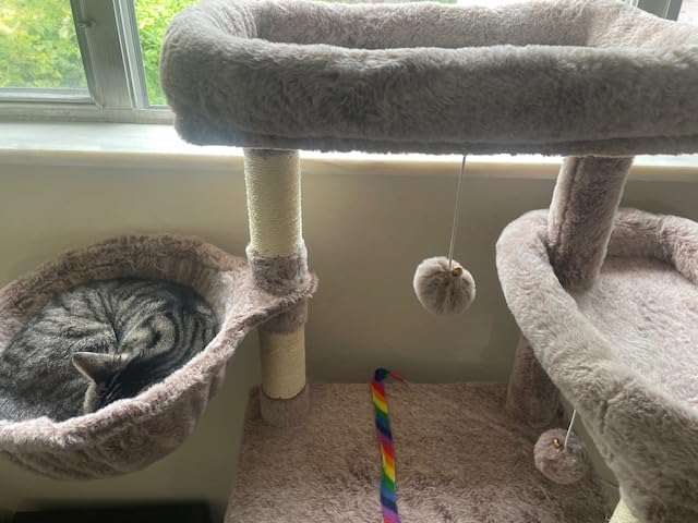 Gitelsnour Cat Tree, 63'' Cat Tower for Large Cats, Big Hammock GCT020G customer photo 2