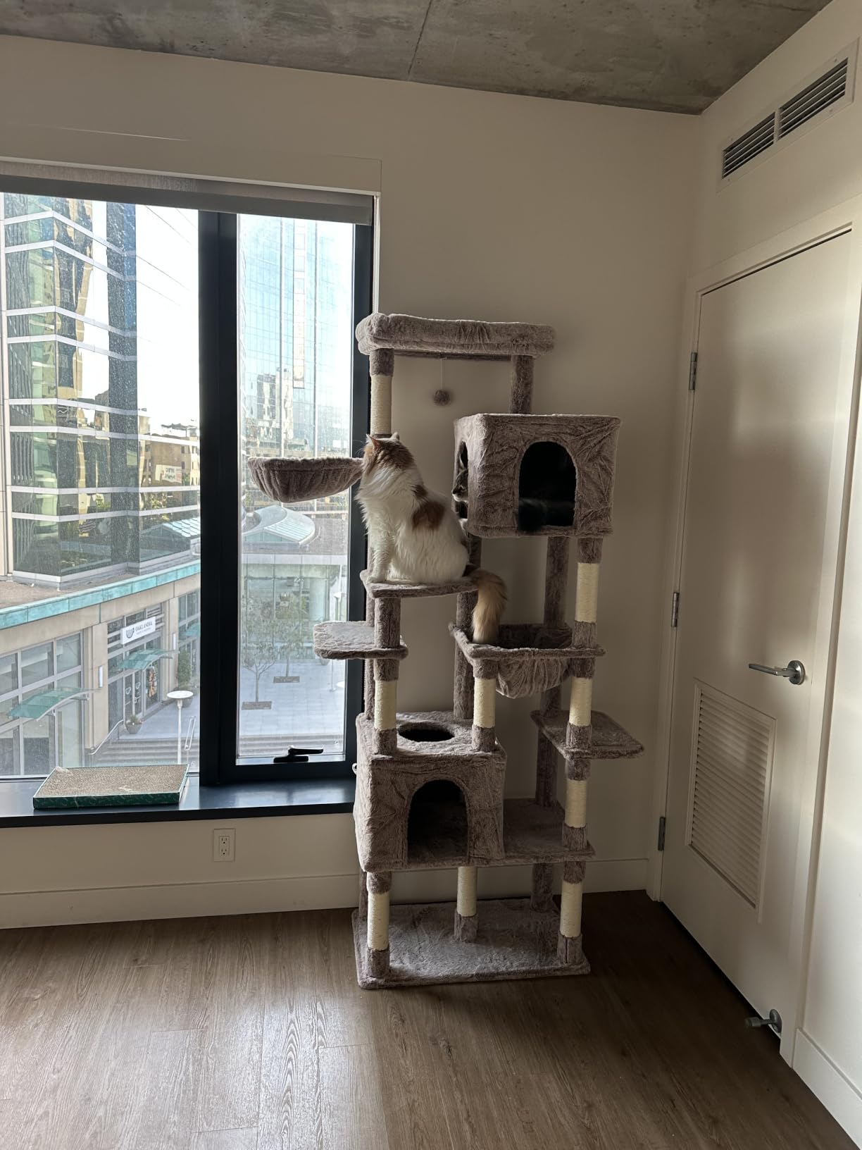 Heybly Cat Tree for Large Cats, 20lbs Heavy Duty, 60 inches XXL HCT050G customer photo 1