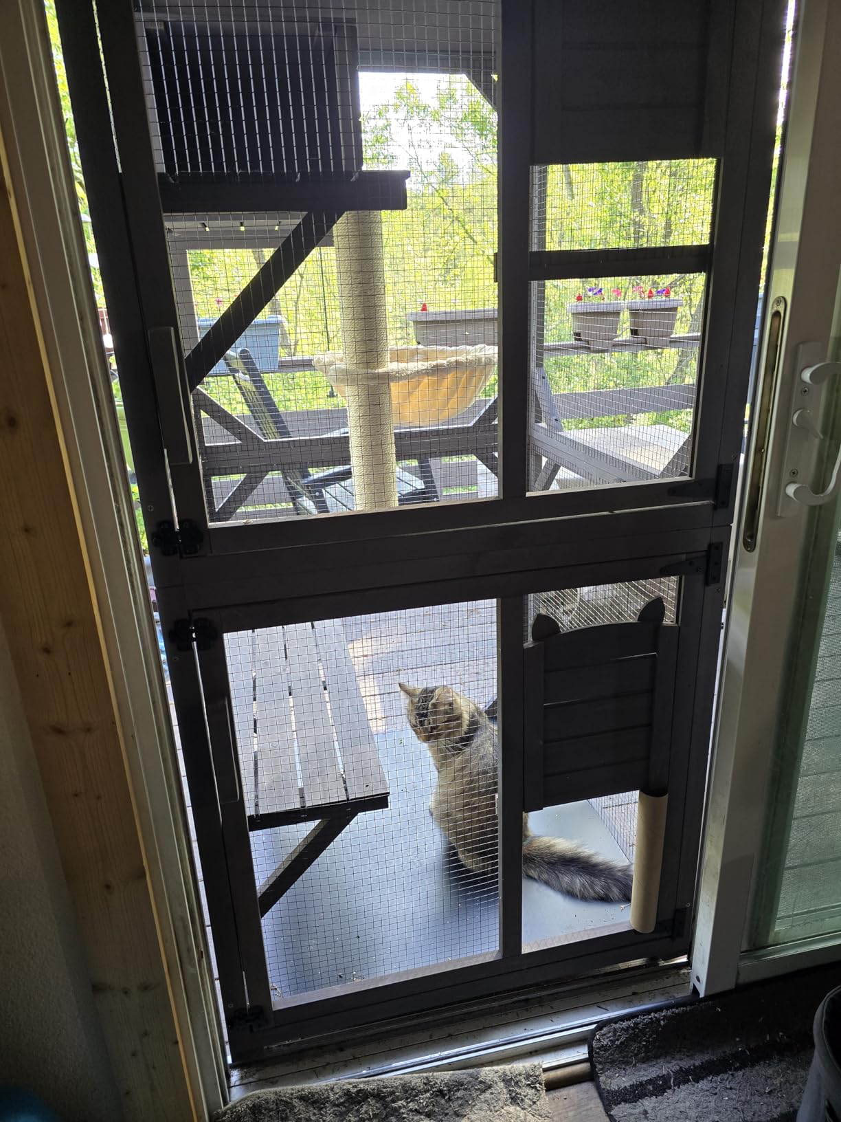 Aivituvin Catio Outdoor Cat Enclosure Large Cat Run with Bridges, Walks, Small Houses, Roof Cover 28.27 ft² customer photo 1