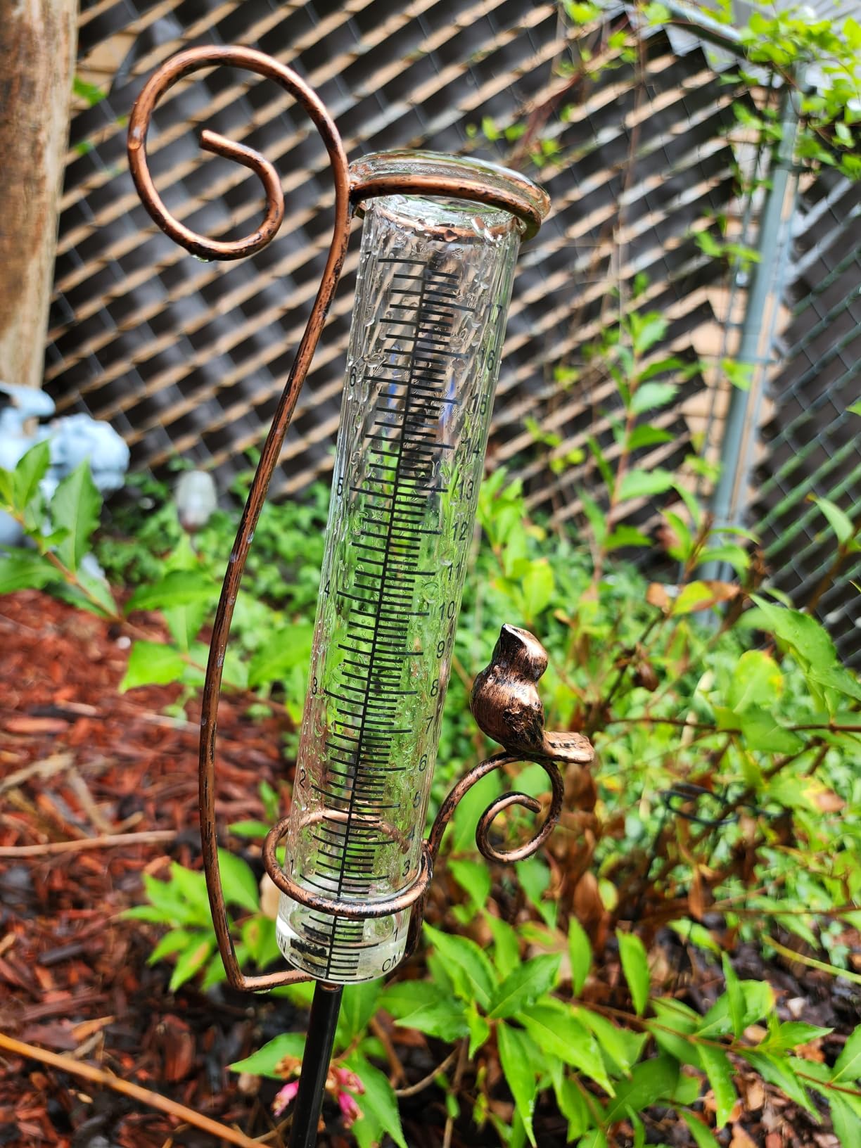 Dragonfly Rain Gauge Outdoor with 7 Inch Glass Tube customer photo 1