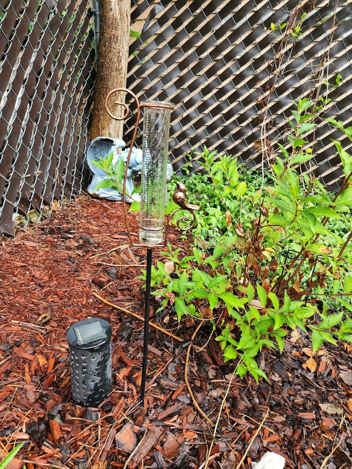 Dragonfly Rain Gauge Outdoor with 7 Inch Glass Tube customer photo 2