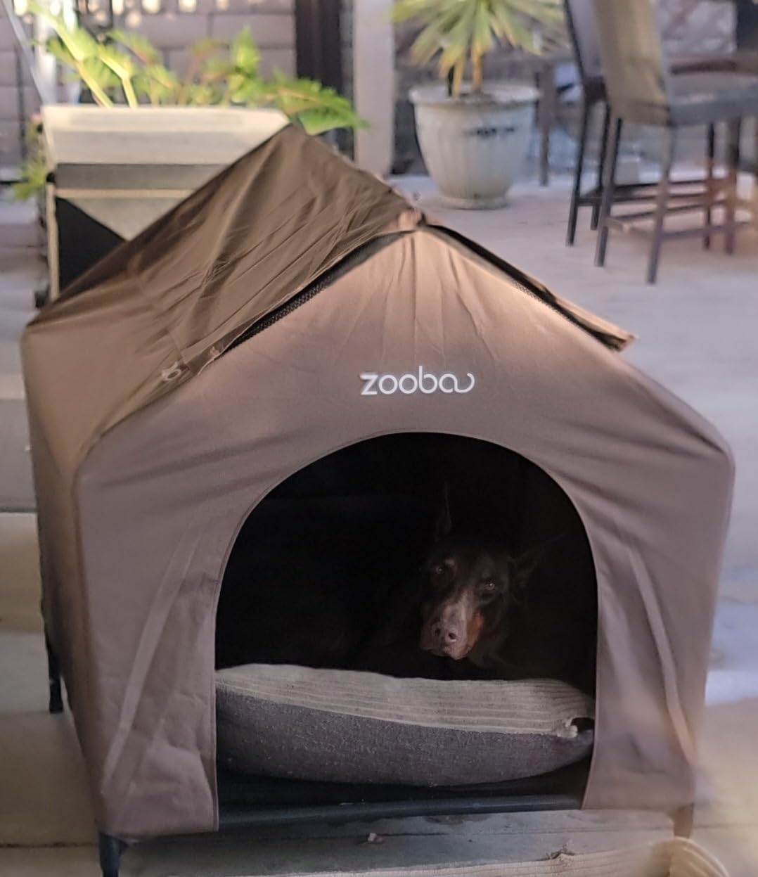 Zooba 42” Outdoor Dog House for Large Breeds, Durable Large Dog Shelter with Weatherproof 600D PVC Canopy, Breathable 2x1 Textilene Fabric Elevated Dog Bed, XL Dog Kennel for Outside Use customer photo 2