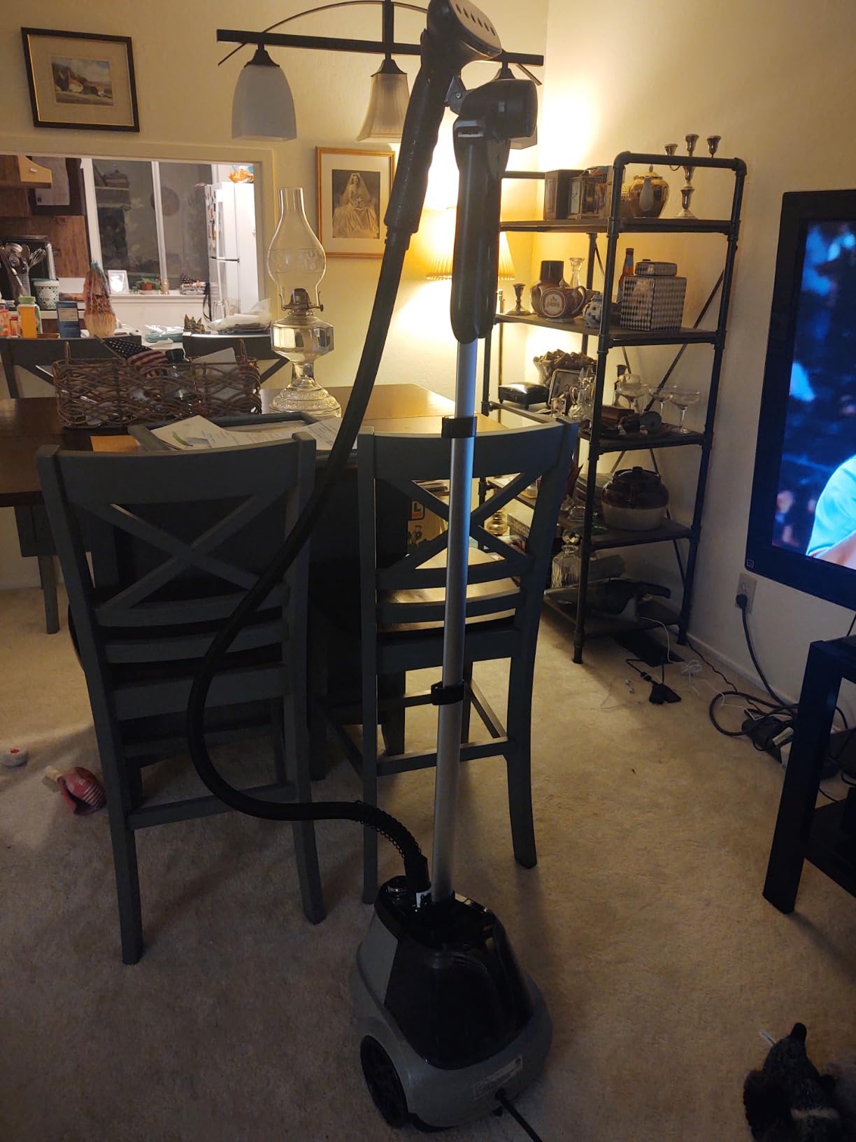 True & Tidy Heavy-Duty Garment Steamer w/ 3 Settings, 3L Water Tank, 1800W customer photo 2