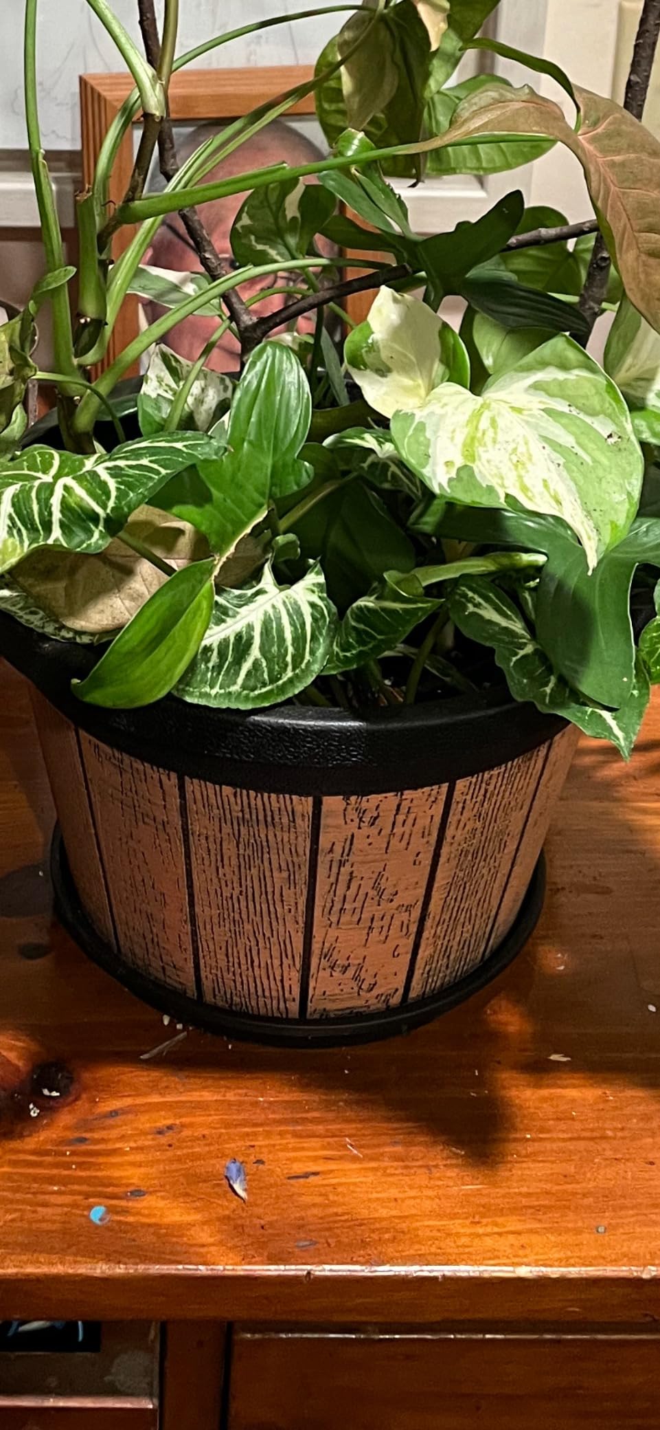 4 Pack 16 inch Plant Pots,Whiskey Barrel Planters with Drainage Holes customer photo 2