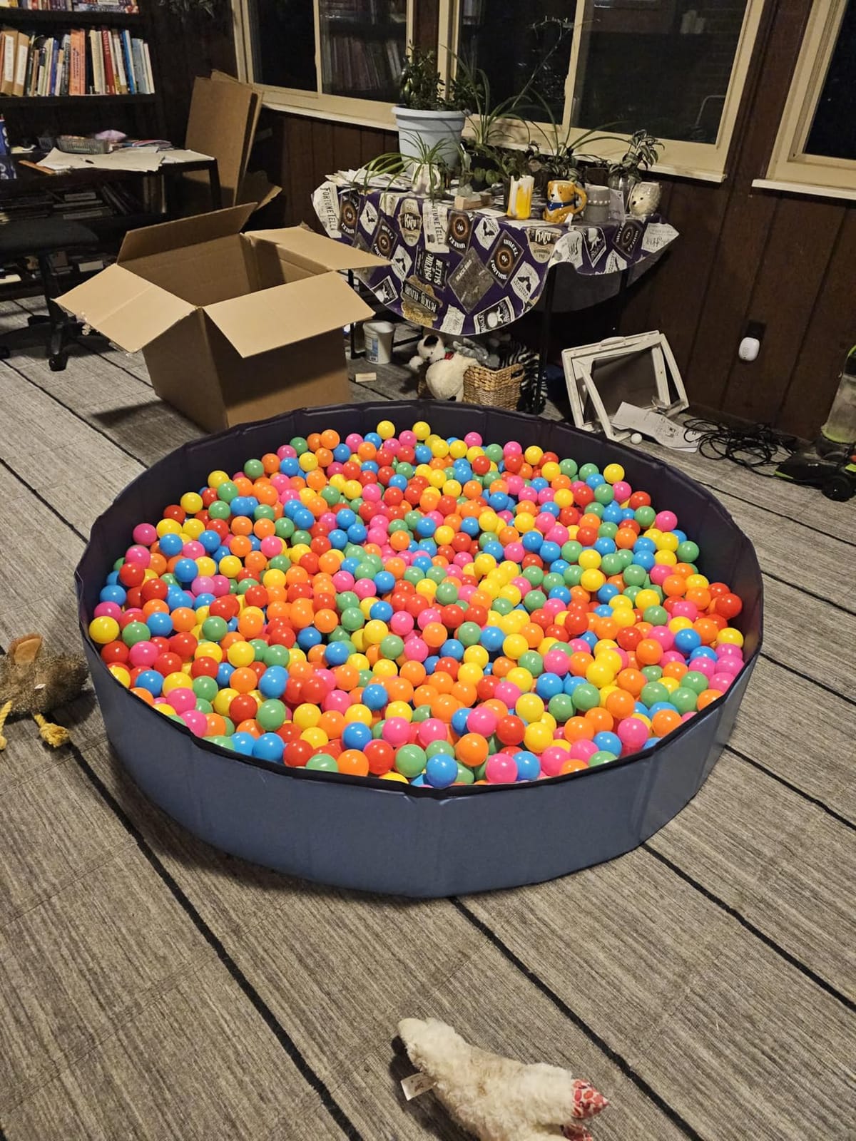 CACSPS Foldable Dog Pool, 63