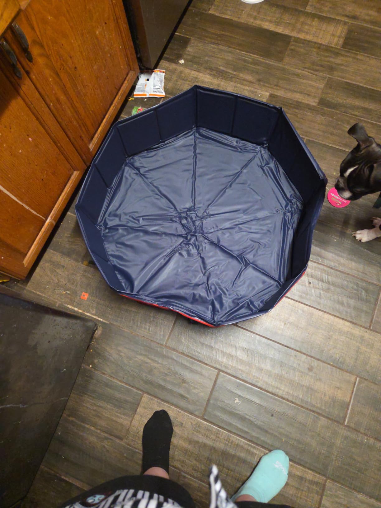 CACSPS Foldable Dog Pool, 63
