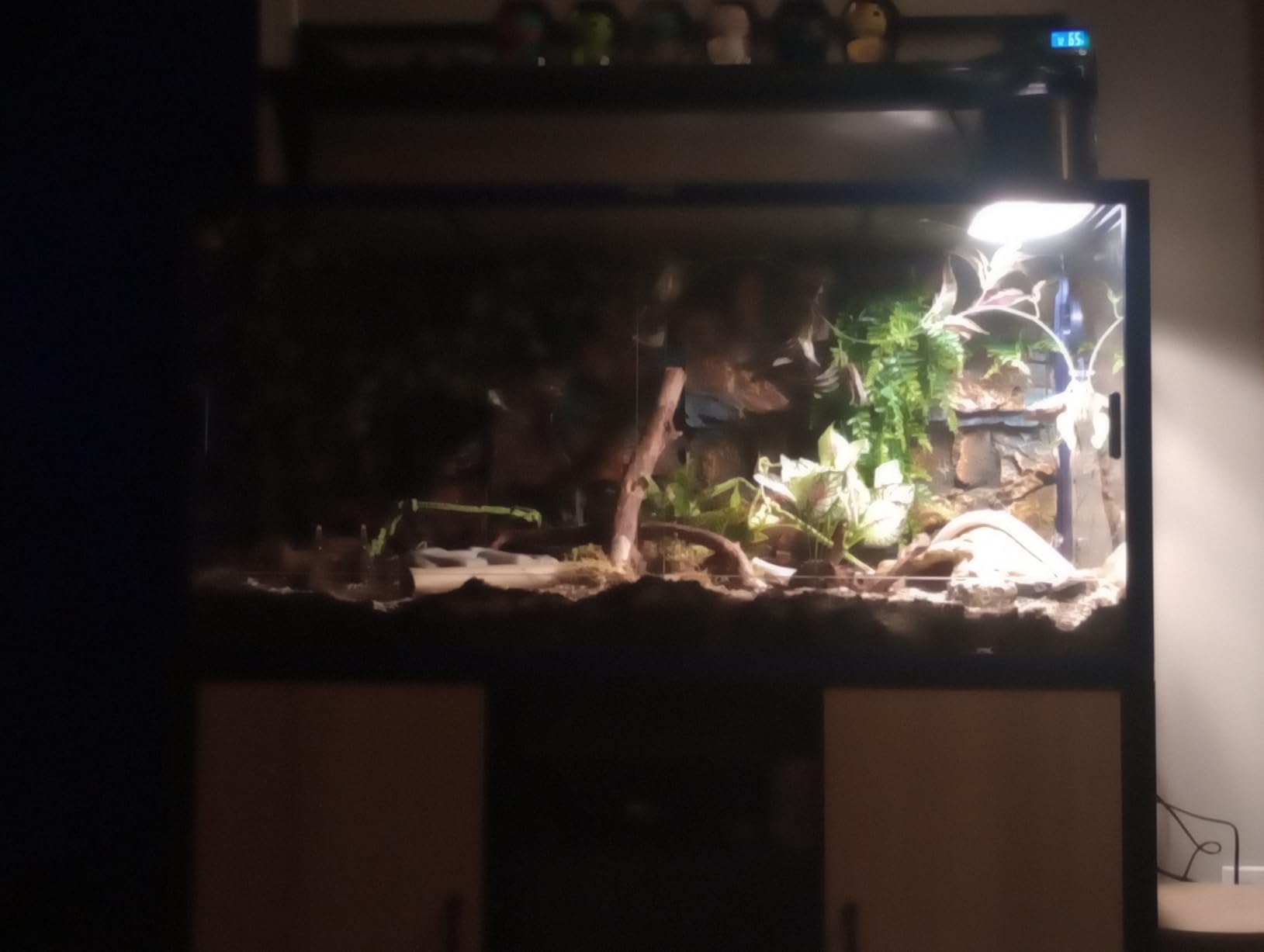 Phailozoo 120 Gallon Reptile Tank, Stackable 4x2x2 Reptile Enclosure customer photo 1