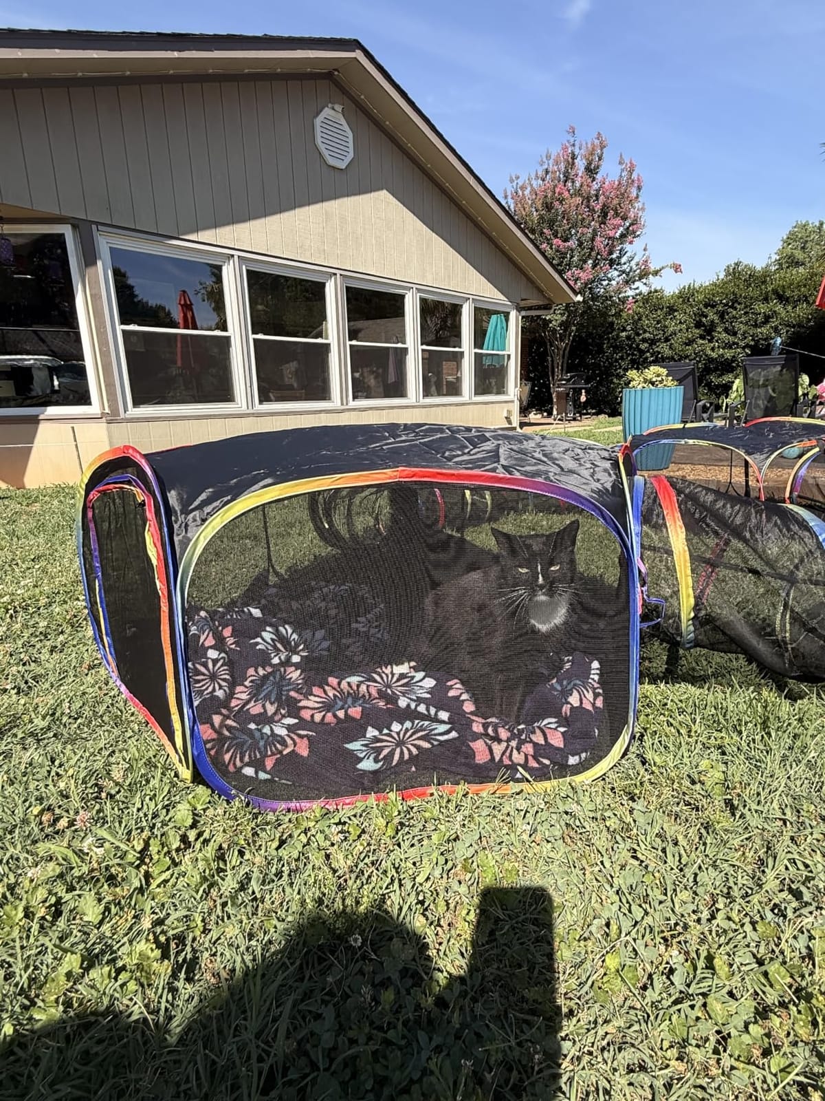 Outdoor Cat Enclosure - Portable Catio Playground for Cat Run, Kitty and Small Animals - Tent & Tunnels for Outside and Indoor Play customer photo 1