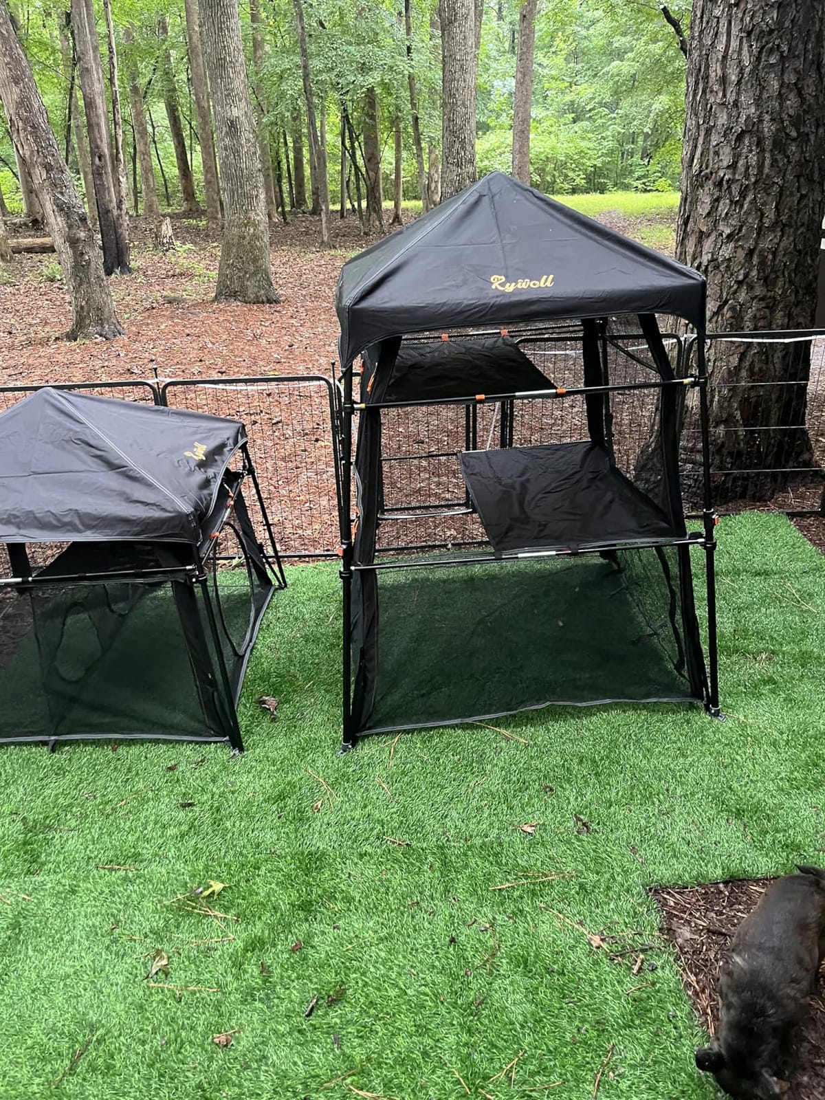 Extra Large Catio Outdoor Cat Enclosure, Rywell 3-Tier Spacious Outdoor Cat Tent, Weatherproof&Sunproof with 5 Windows, Foldable Cat Enclosure for Patio, Camping, Indoor(Includes Carry Bag) customer photo 2