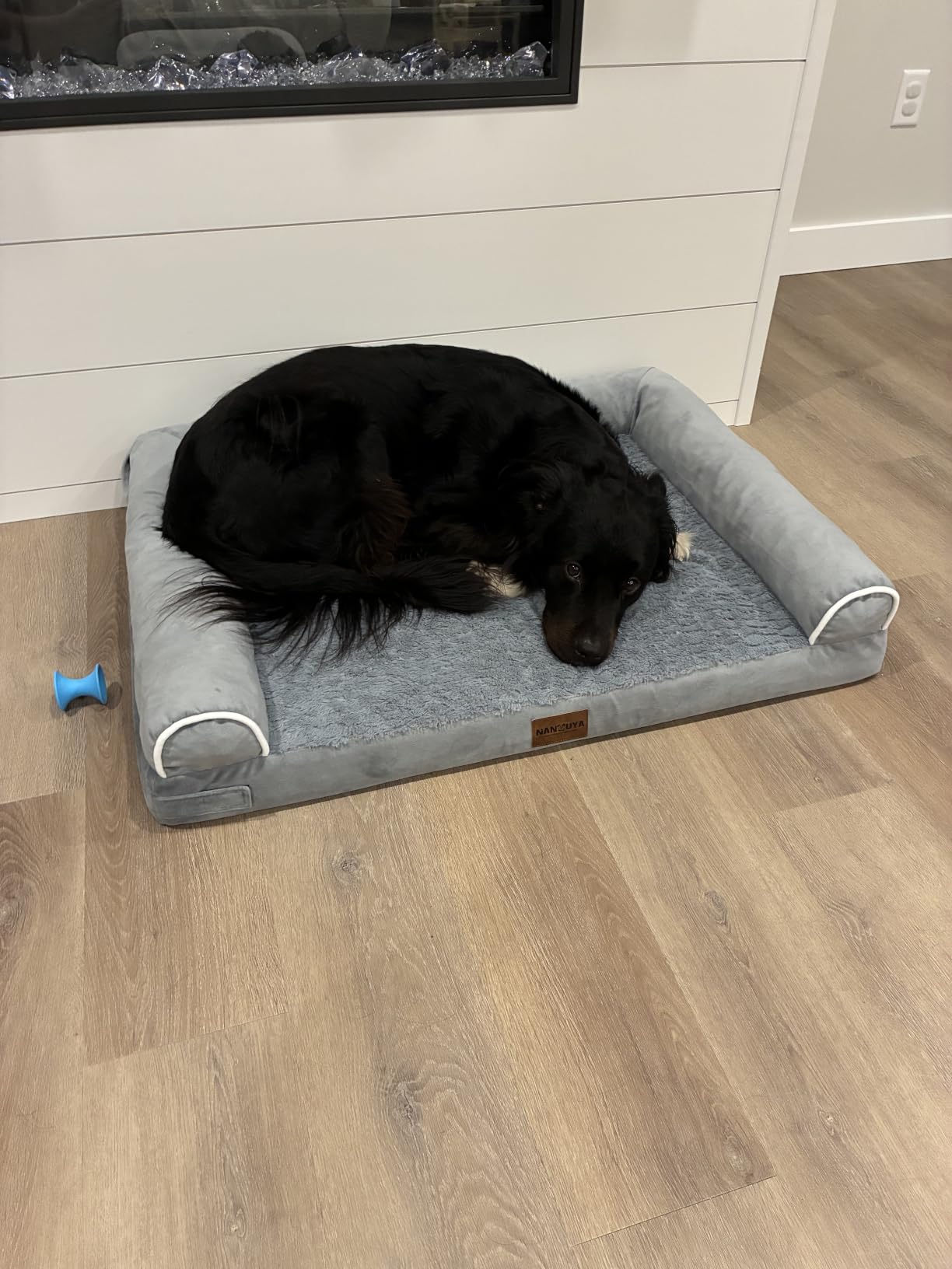 NANUYA Orthopedic Dog Bed for Large Dogs, 36 x 27 Inch, Light Grey customer photo 1