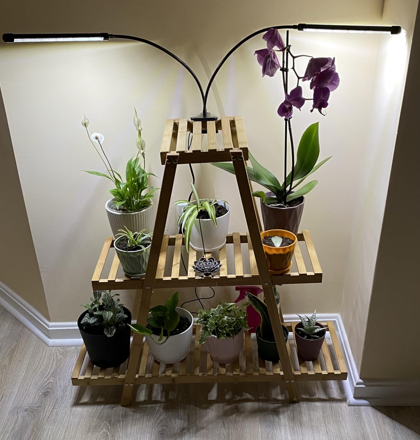 Grow Lights for Indoor Plants, Upgrade 84 LEDs Clip Plant Lights, Full Spectrum LED Plant Growing Lamps with Flexible Gooseneck, 3/9/12H Timer, 3 Spectral Modes, 10 Dimmable Levels (2 Head 1 Pack) customer photo 1