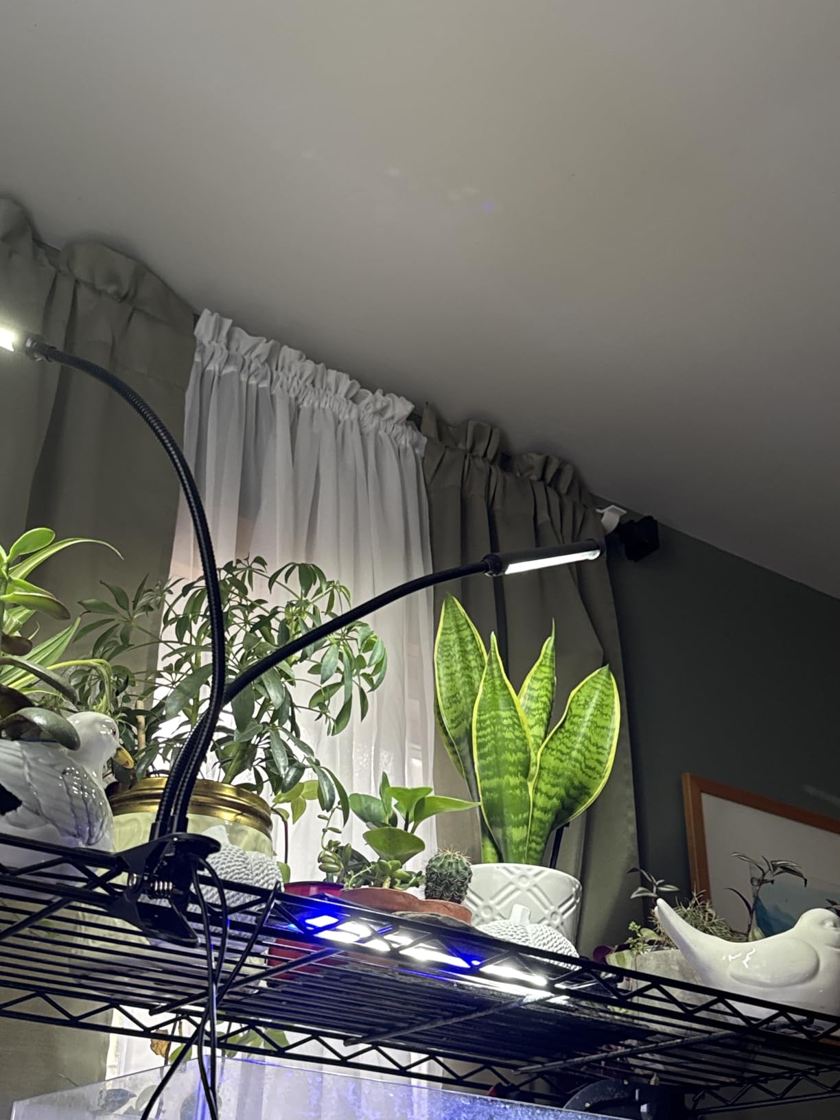 Grow Lights for Indoor Plants, Upgrade 84 LEDs Clip Plant Lights, Full Spectrum LED Plant Growing Lamps with Flexible Gooseneck, 3/9/12H Timer, 3 Spectral Modes, 10 Dimmable Levels (2 Head 1 Pack) customer photo 2
