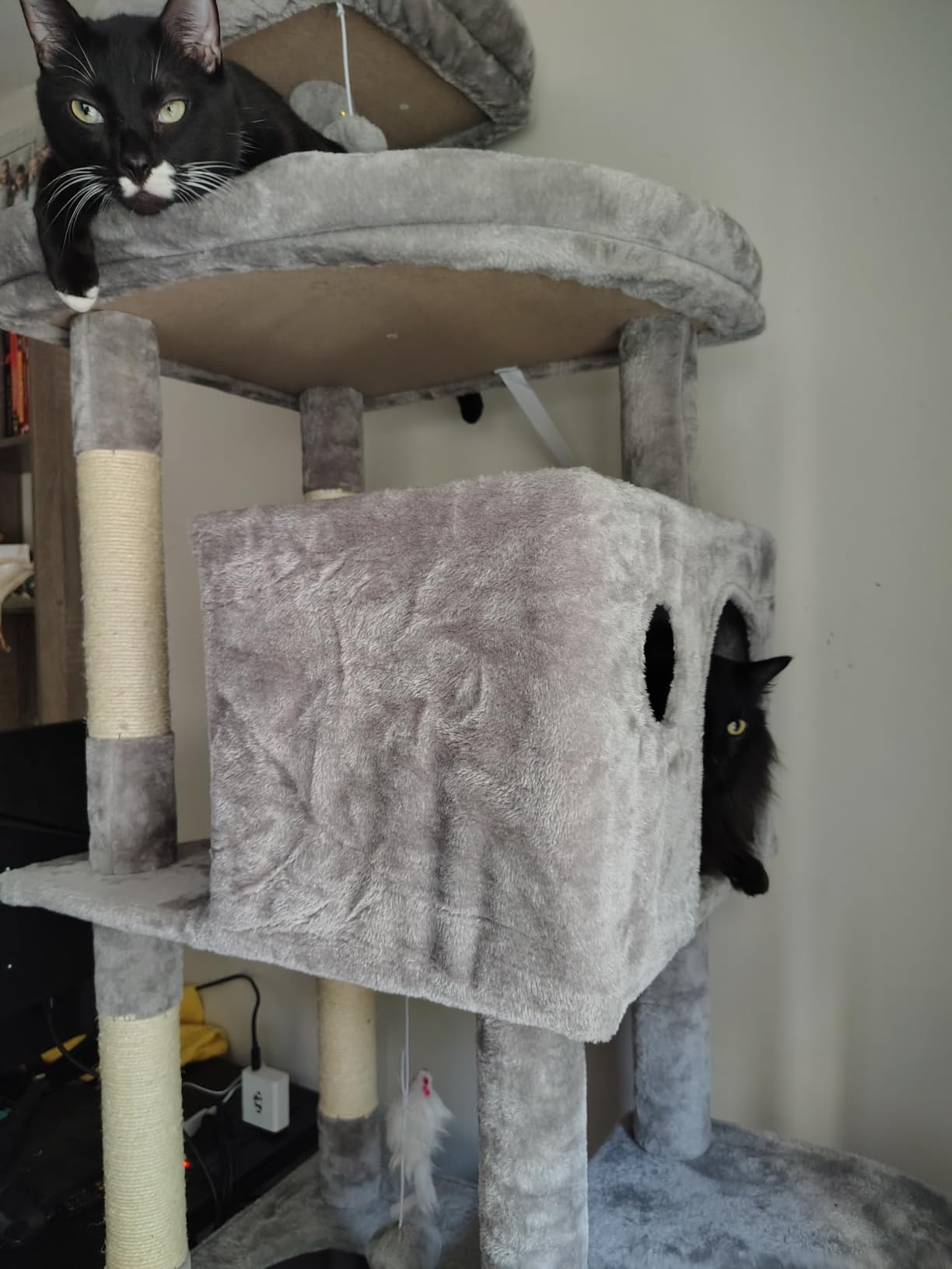 Globlazer Giant Cat Tree for Indoor Large Cats, 83in, F83, Dark Grey customer photo 1