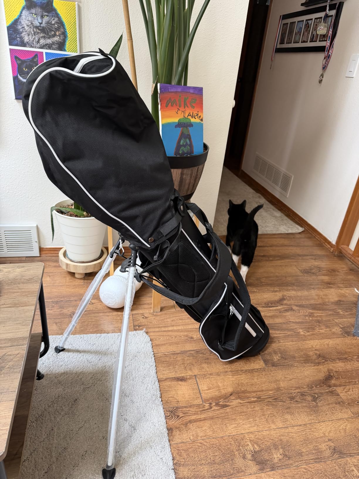 Lightweight Golf Stand Bag, 4-Way Full-Length Dividers, Holds Up to 10 Clubs, 3.7 lbs Golf Bag with Dual Straps & Stand for Driving Range, Par 3, and Standard Courses customer photo 1
