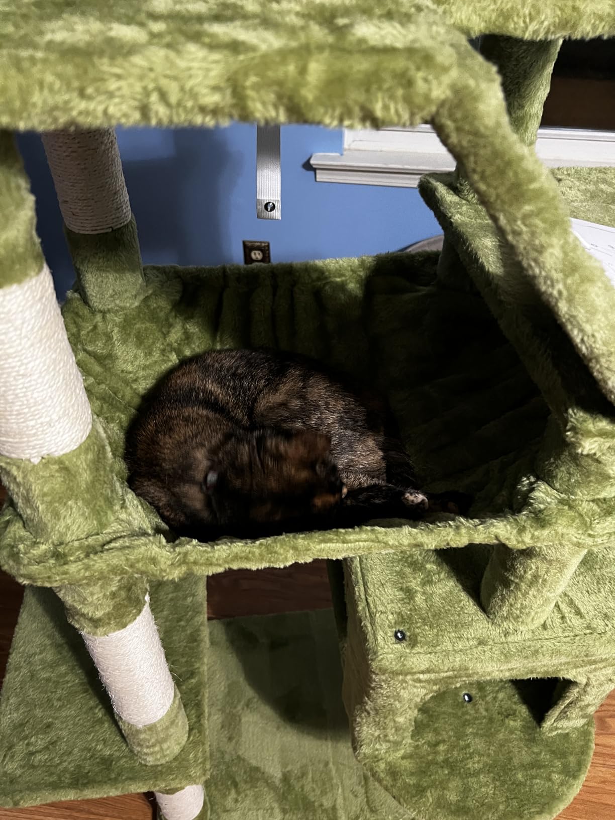Heybly Cat Tree, 71-Inch-Tall Tower for Indoor Cats with 2 Perches HCT034G customer photo 1