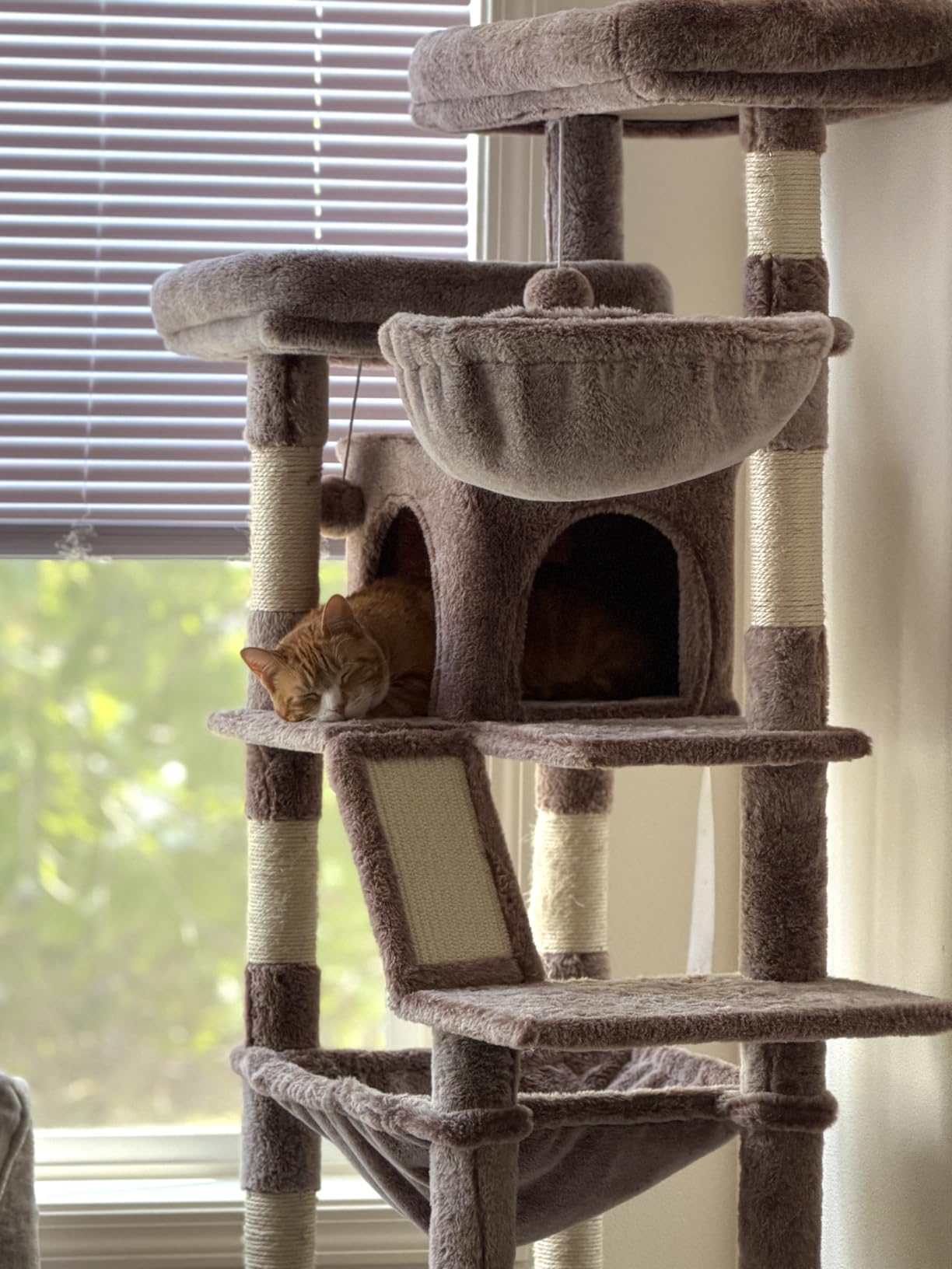 Heybly Cat Tree, 71-Inch-Tall Tower for Indoor Cats with 2 Perches HCT034G customer photo 2
