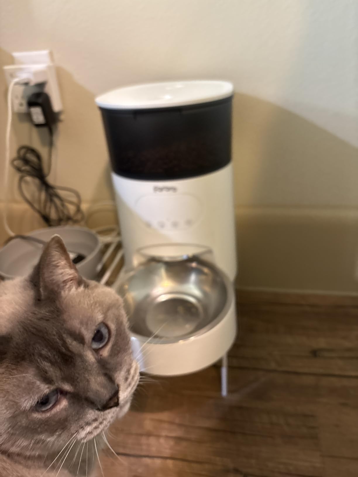 Automatic Cat Feeder with Camera, 3MP HD Video & Night Vision, 5G/2.4G WiFi Smart Pet Feeder with APP Control, 2-Way Audio, Motion Alerts, Low Food Sensor, Timed Cat Feeder for Cats & Dogs, 4L customer photo 1