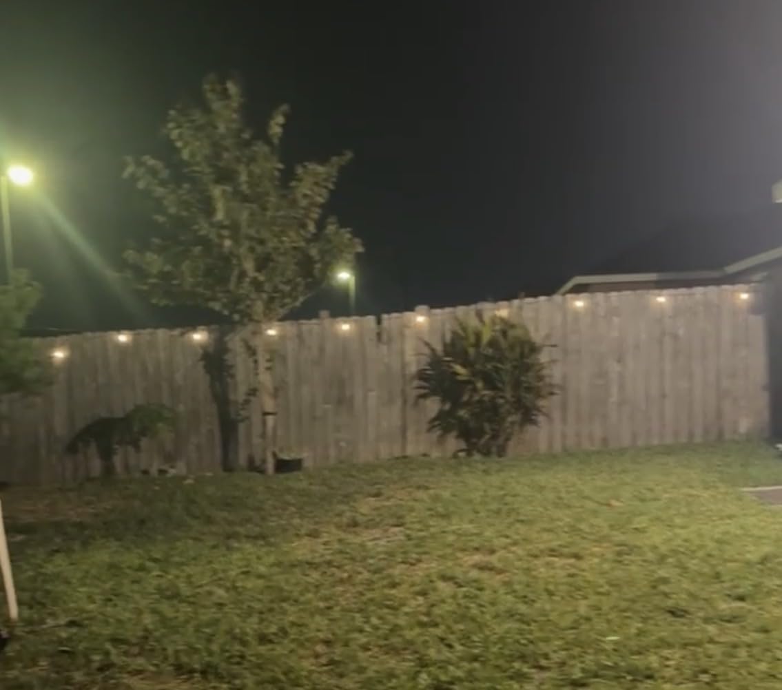 Bdrofn 300FT Solar String Lights Outdoor Waterproof, Solar Patio Lights with Remote Control & 90+5 Dimmable ST38 Edison Bulbs Shatterproof,Solar Powered String Lights for Outside Garden Backyard customer photo 2