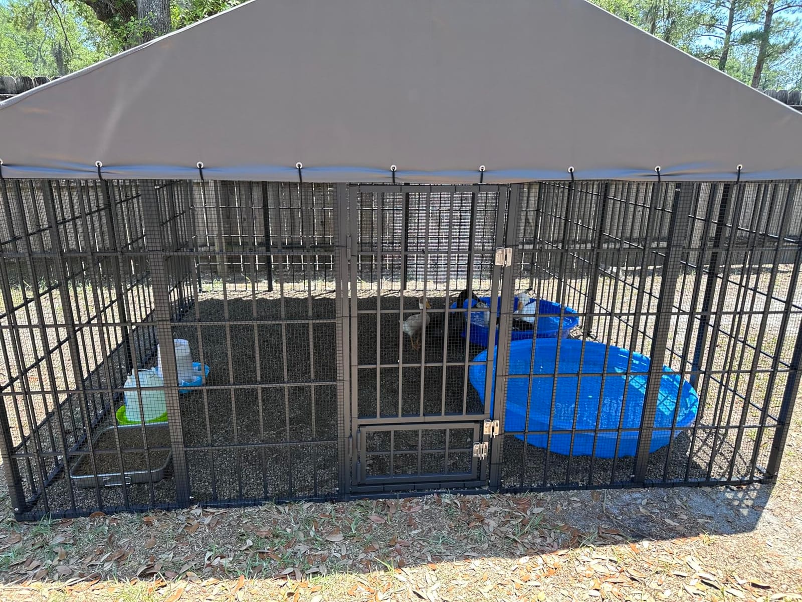 Gotland Dog Kennel Outdoor 10 x10 x6 FT, Dog Cage Outdoor for Medium/Large Dogs with Waterproof Roof Double Secure Locks Ground Spikes, All Weather Heavy Duty Dog Enclosure for Backyard Farm Ranch customer photo 1