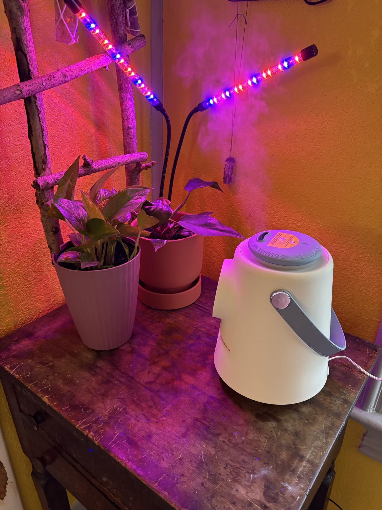 Everlasting Comfort 2.5L Kids Humidifiers for Bedroom - Easy to Clean 24HR Runtime No-Filter Quiet Kids & Baby Humidifier for Nursery, Home, Plants, Allergies, Dry Skin, Congestion, Indoor customer photo 2