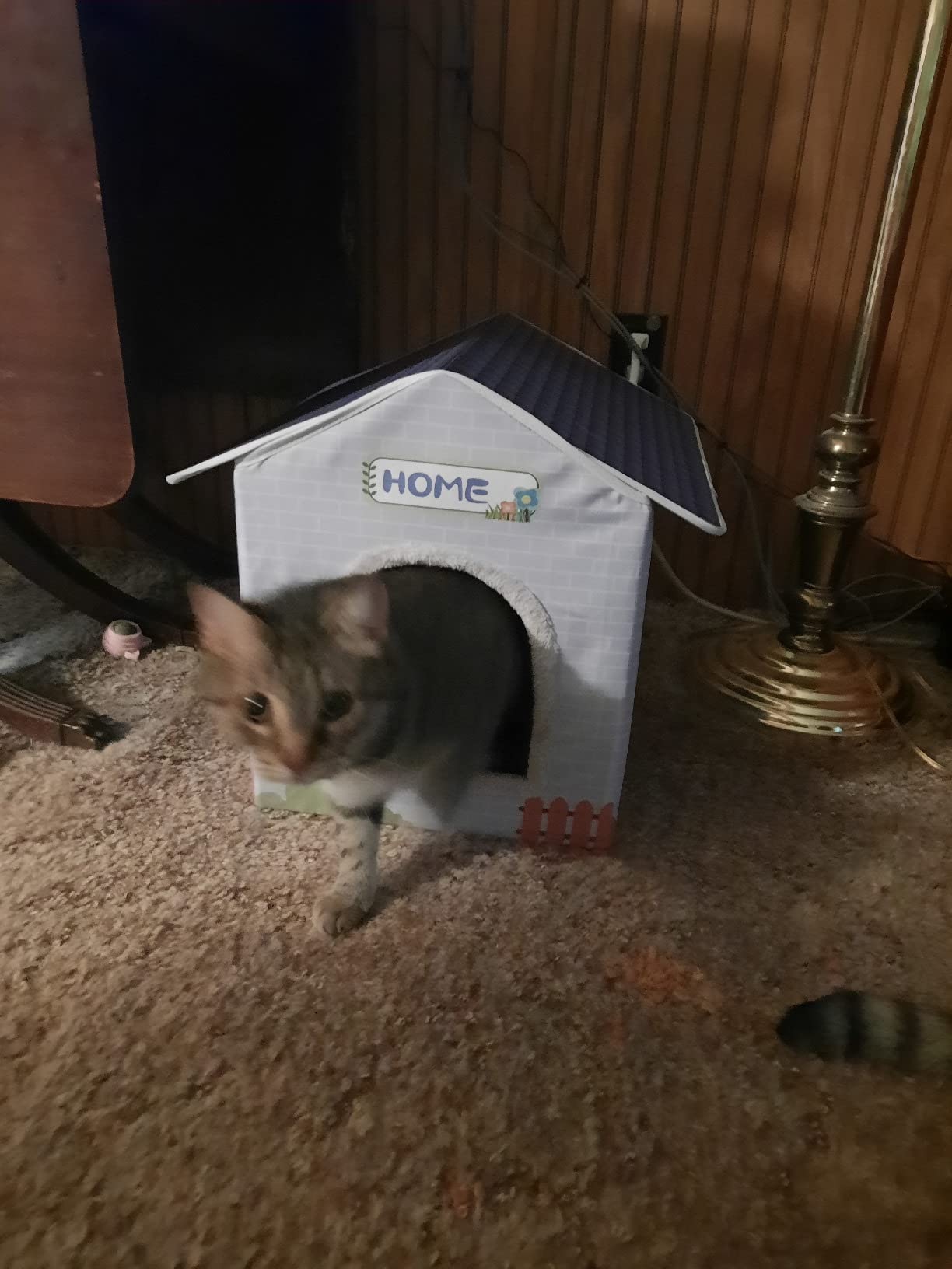 Heated Cat Houses for Indoor/Outdoor Cats with Elevated Heated Cat Bed Waterproof Providing Safe Feral Cats, Easy to Assemble customer photo 1