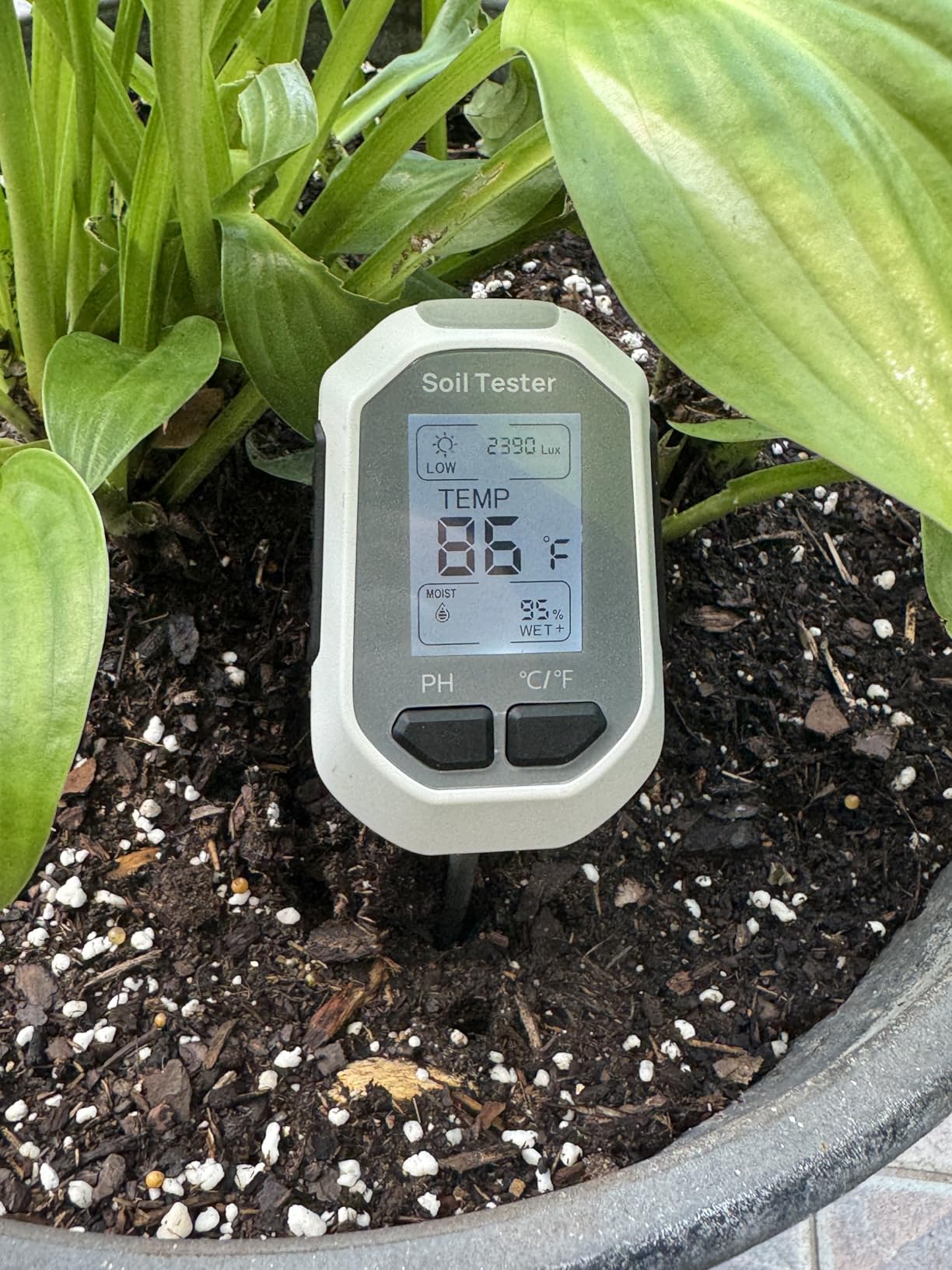 YAMRON 4-in-1 Soil Moisture Meter Digital Plant for Indoor ＆ Outdoor Plants customer photo 1