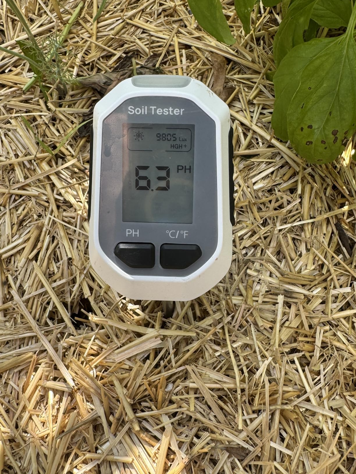YAMRON 4-in-1 Soil Moisture Meter Digital Plant for Indoor ＆ Outdoor Plants customer photo 2