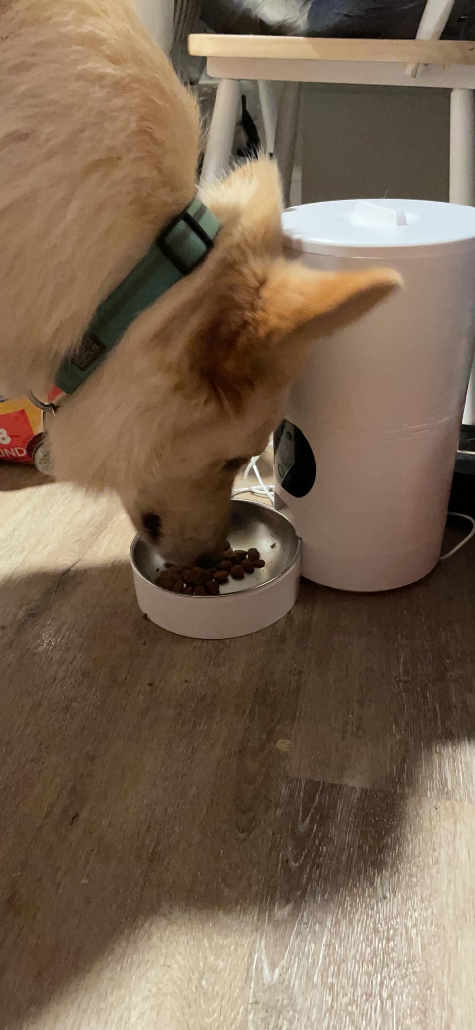 Yakry Automatic Dog Feeder with Camera - 8L/33 Cups Smart Dog Feeder customer photo 2