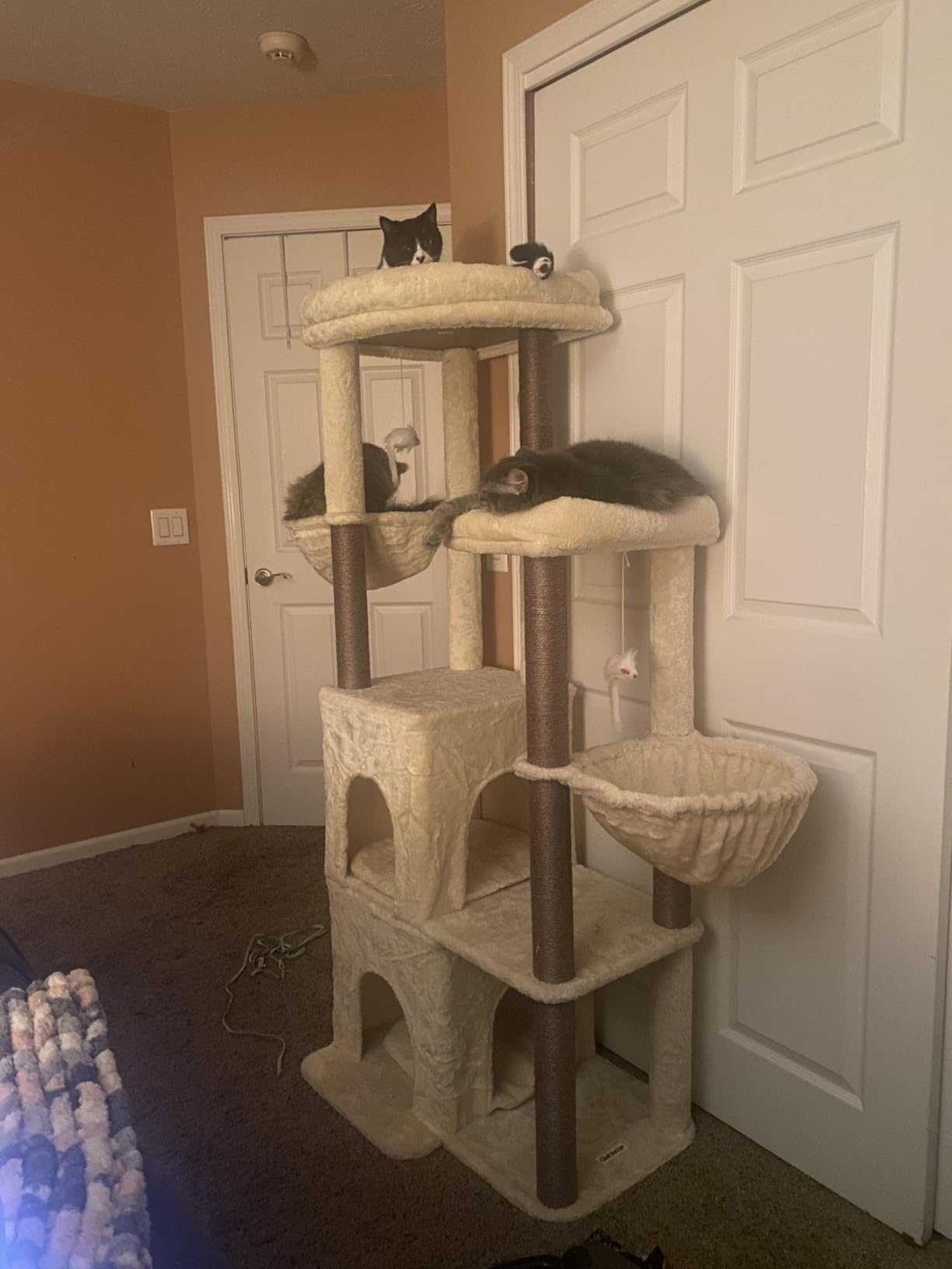 Globlazer Cat Tree Tower for Indoor Cats Large Adult, FC50, Light Grey customer photo 1