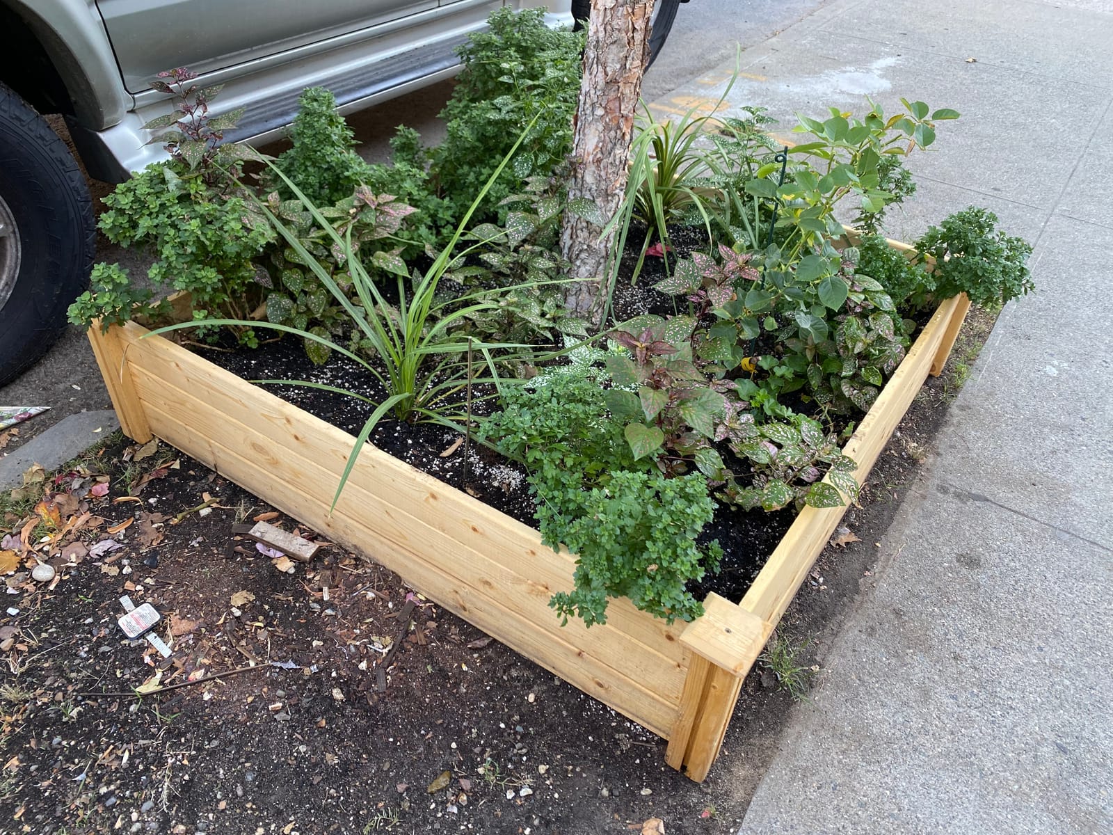 Greenes Fence Premium Cedar Raised Garden Bed, 2' x 4' x 10.5
