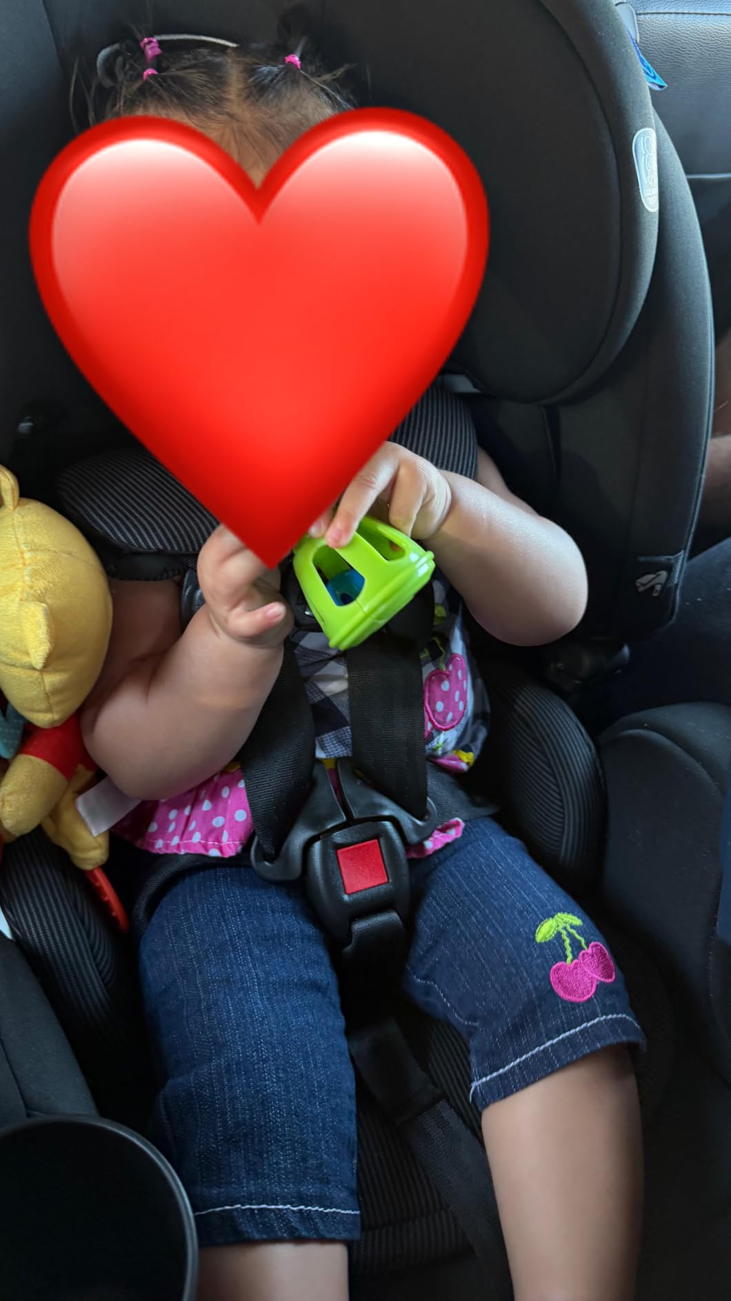 Graco 4Ever DLX 4-in-1 Convertible Car Seat, Maddox customer photo 1