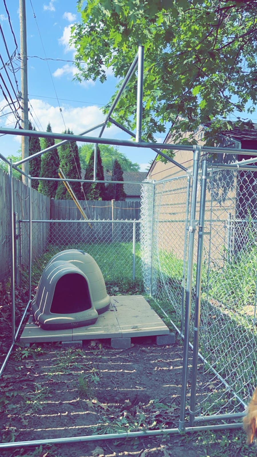 10 x 10 x 6.56 ft Outside Dog Kennel Outdoor Large with Roof, Enclosure with Roof, Outdoor Heavy Duty Dog Run Pens House Pet Playpen with Galvanized Chain Link customer photo 2