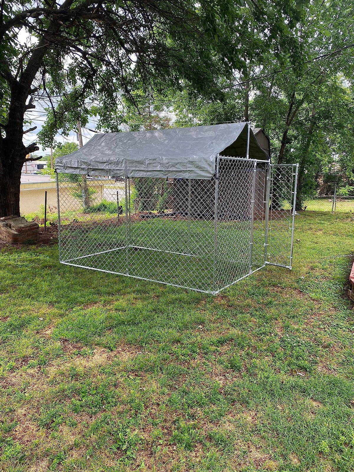 HITTITE Extra Large Outdoor Dog Kennel, 10x10x6.56ft Anti-Rust Dog Kennel Outside with Roof, Galvanized Chain Link Dog Runs for Outside with Secure Lock customer photo 1