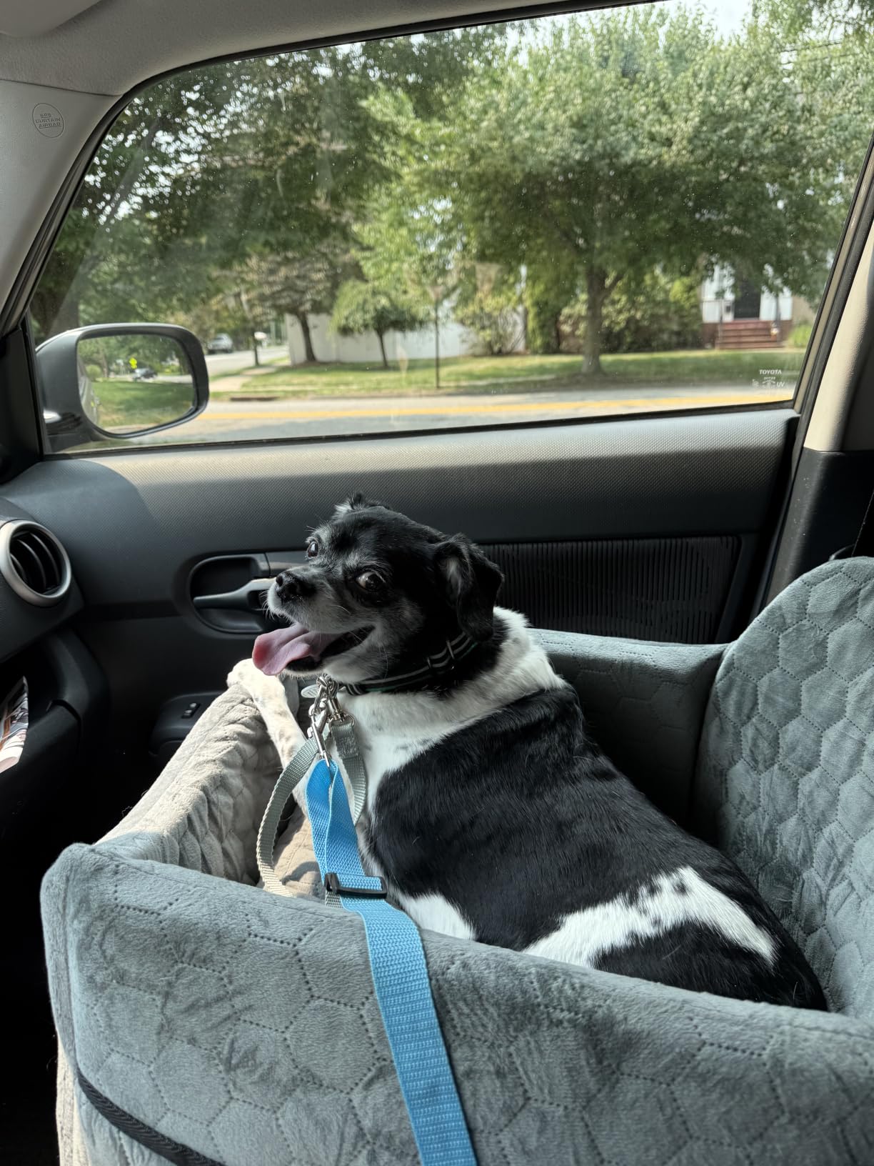 Dog Car Seat for Small/Medium Dogs, Memory Foam Dog Booster Seat, Travel Safety Per Car Seat with Washable Removable Cover, Storage Pockets for Dogs up to 35 lbs(Gray) customer photo 2