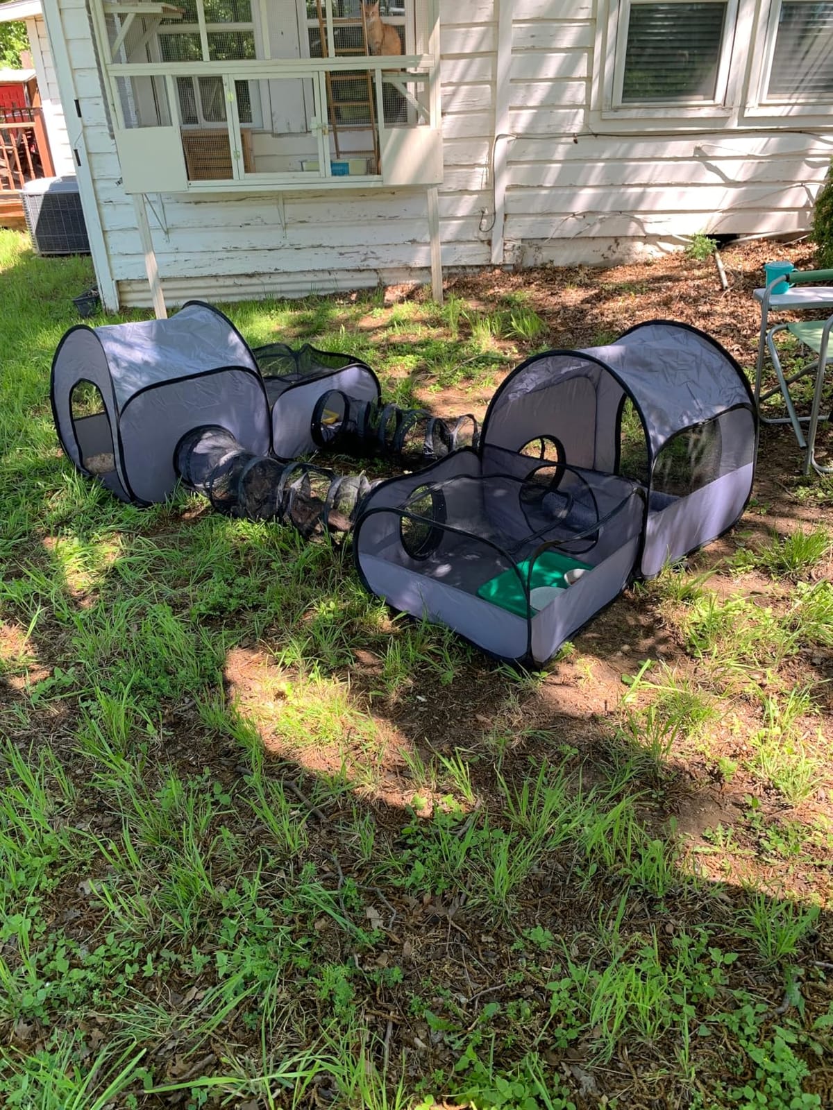 Tailtastic Indoor/Outdoor Cat Playpen with Surround Tunnel 2 Zones Grey customer photo 1