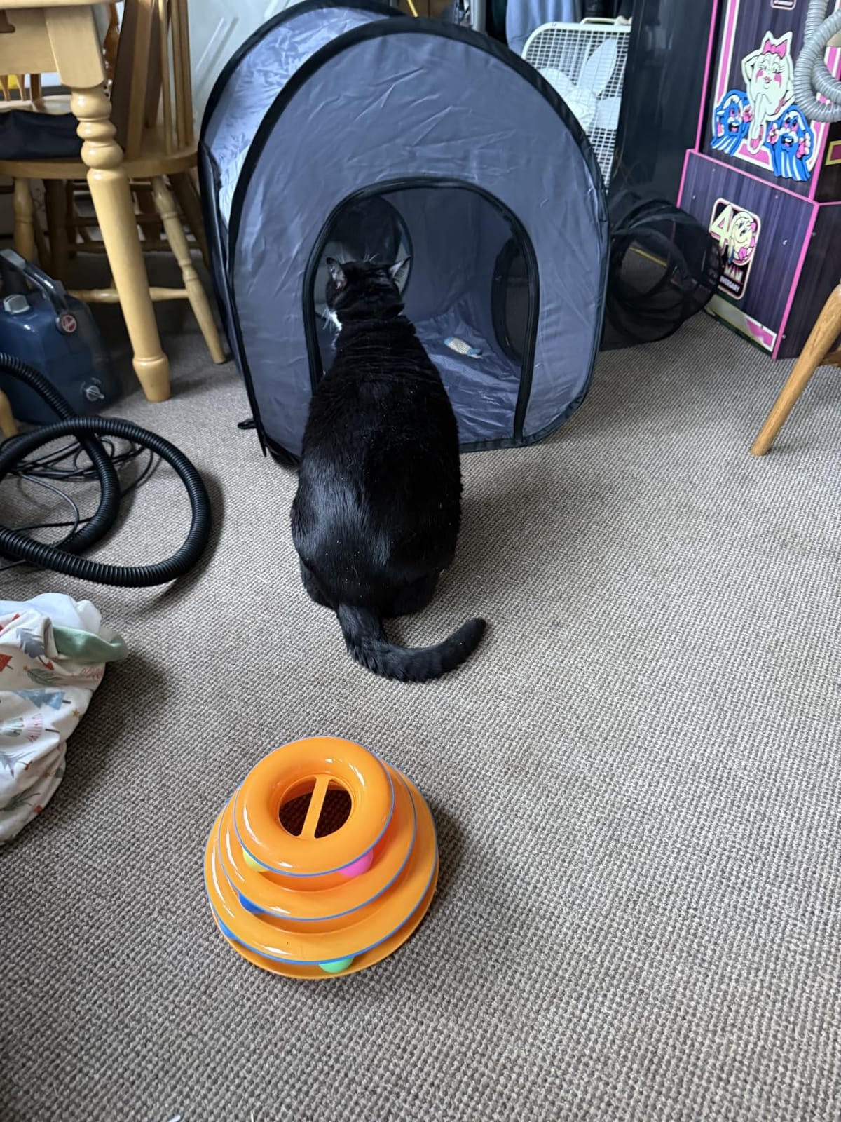 Tailtastic Indoor/Outdoor Cat Playpen with Surround Tunnel 2 Zones Grey customer photo 2