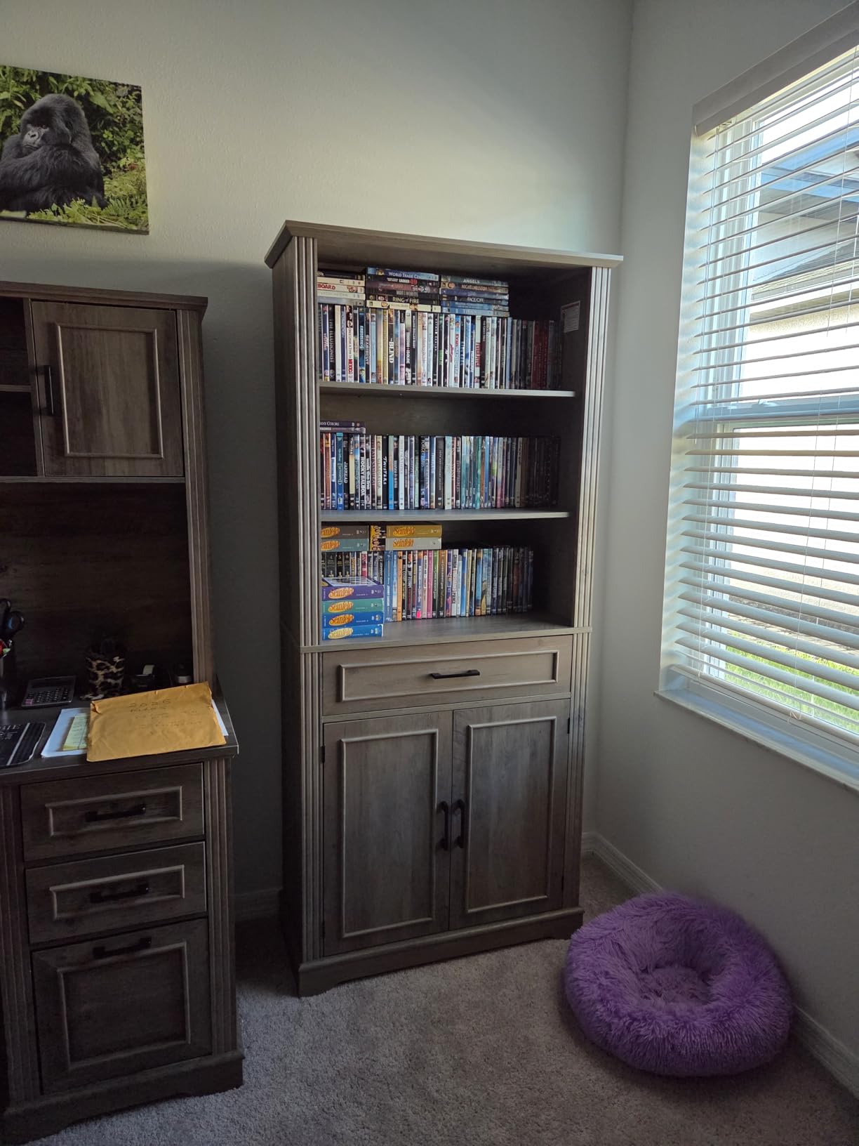 SEDETA Farmhouse Bookshelves and Bookcases with Doors, Drawer, Grey customer photo 1