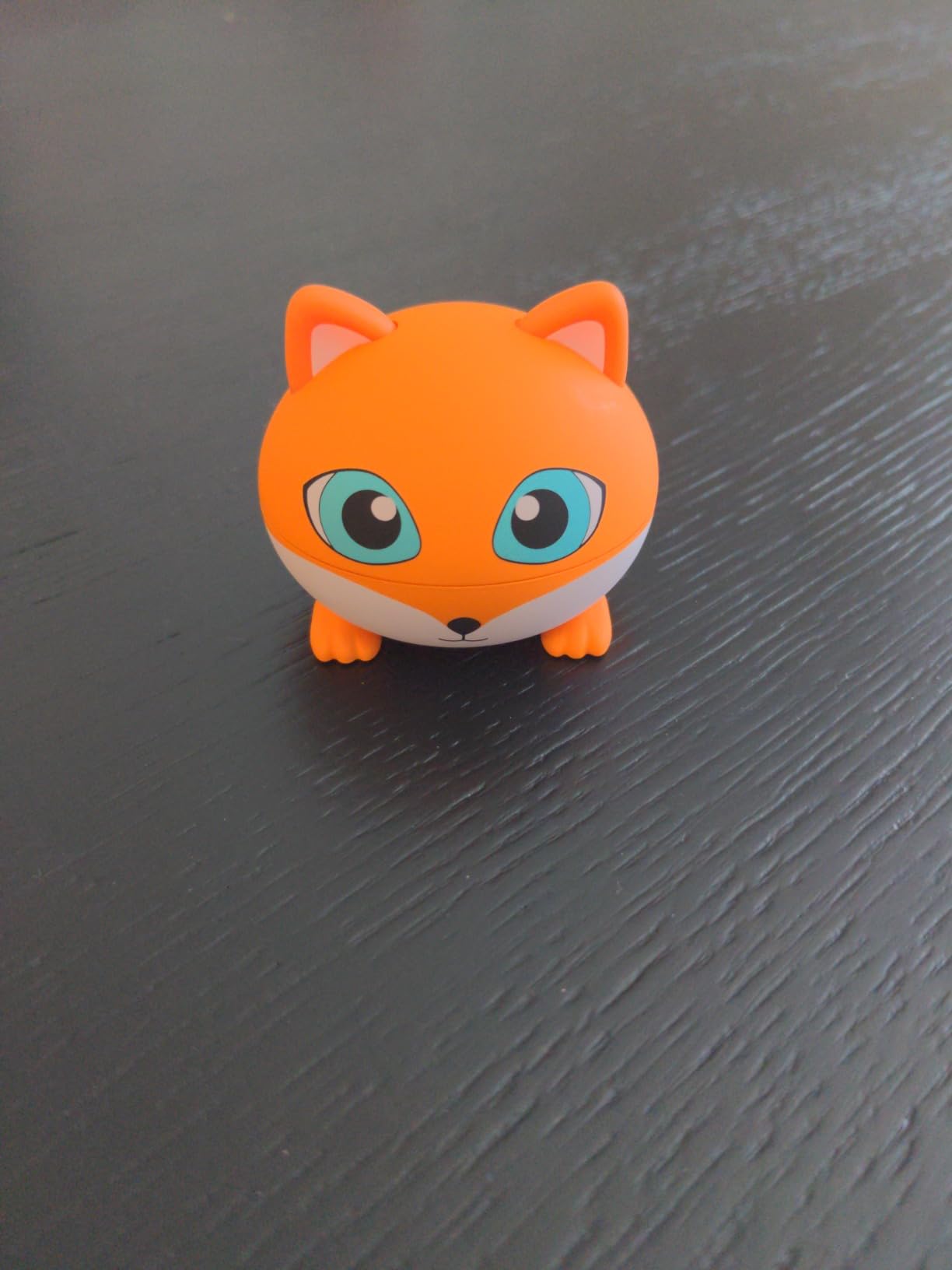 Kids True Wireless Earbuds, 85dB Volume Limited, Fox customer photo 2