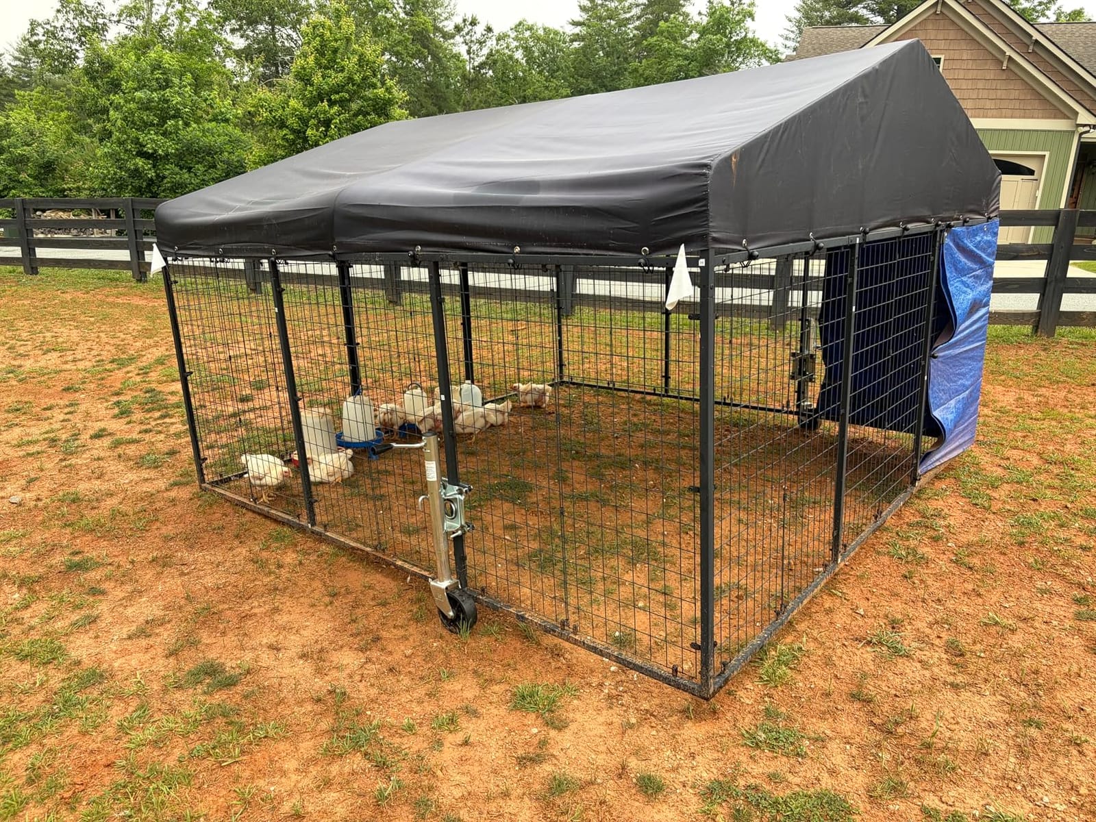 Petony Large Outdoor Dog Enclosure,Heavy Duty Dog Cage with Roof,Galvanized Steel Dog Kennel Fence with Double Safety Locks(79”W x 79”D) customer photo 2