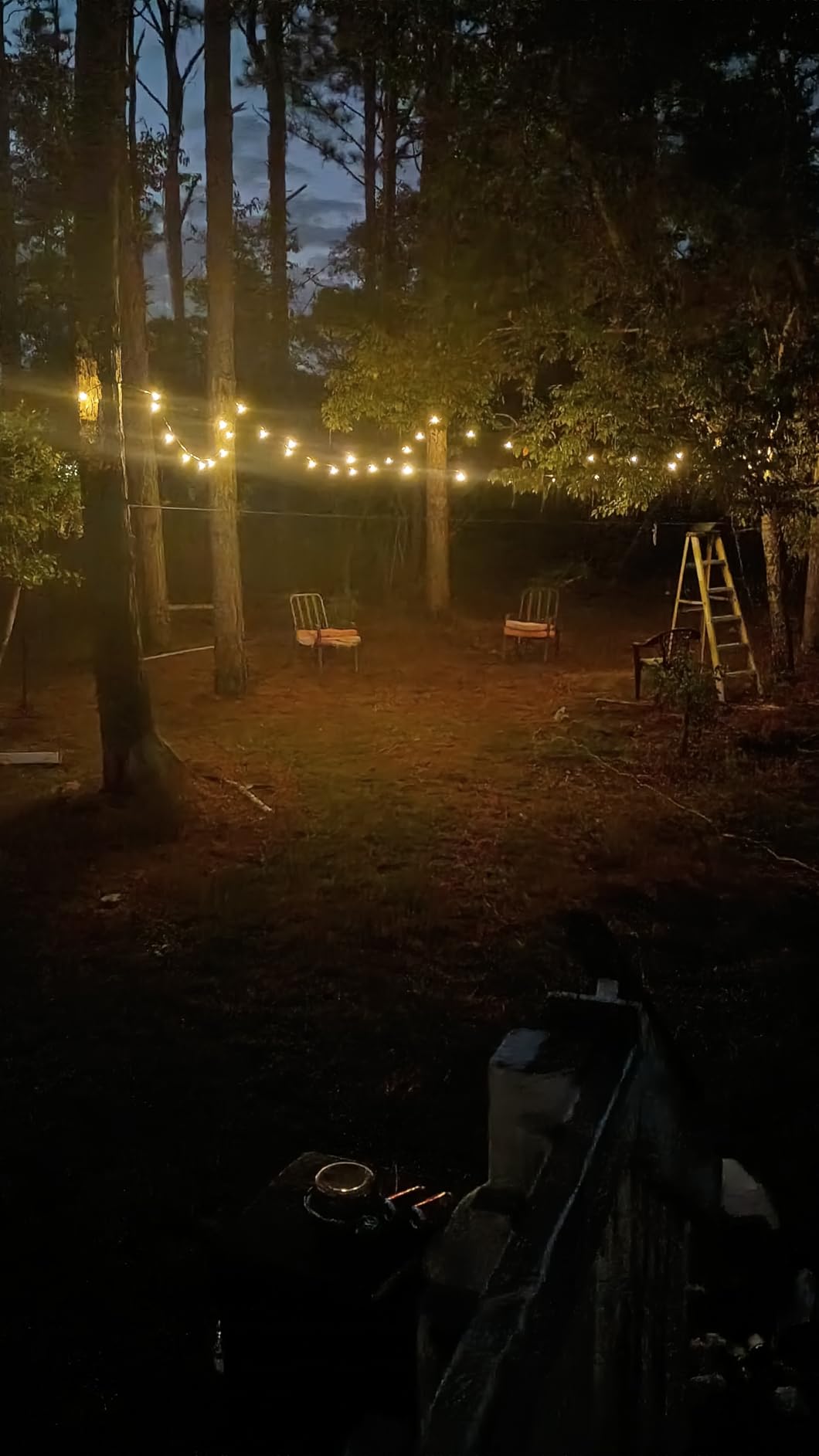Brightown 108FT 52LED Solar String Lights Outdoor with Remote & USB Port customer photo 2