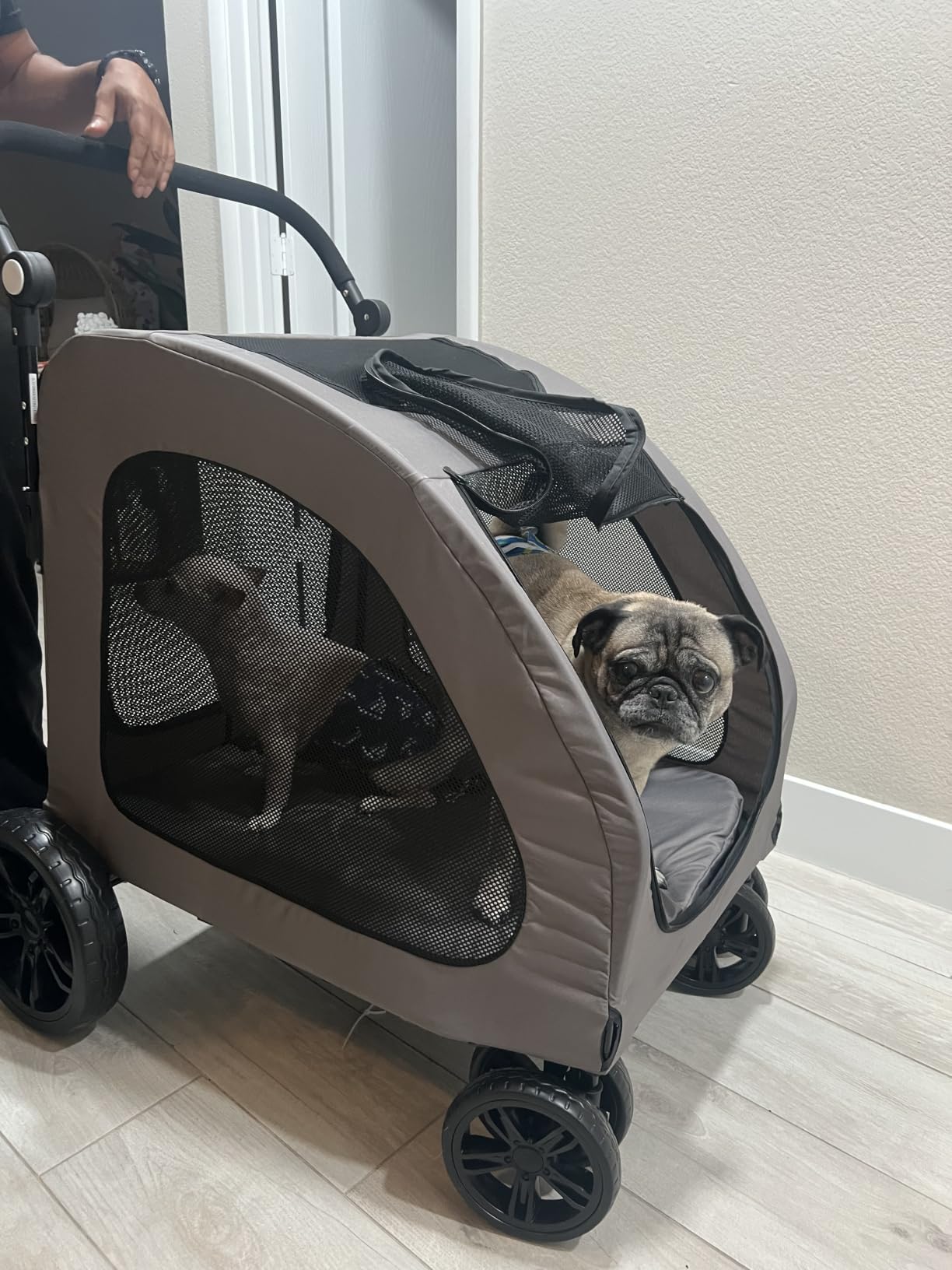 VEVOR Pet Stroller, 4 Wheels Dog Carrier with Brakes, 160lbs Weight Capacity, Portable Puppy Travel Strollers with Breathable Mesh Windows & Height-Adjustable, for Cats & Dogs customer photo 2