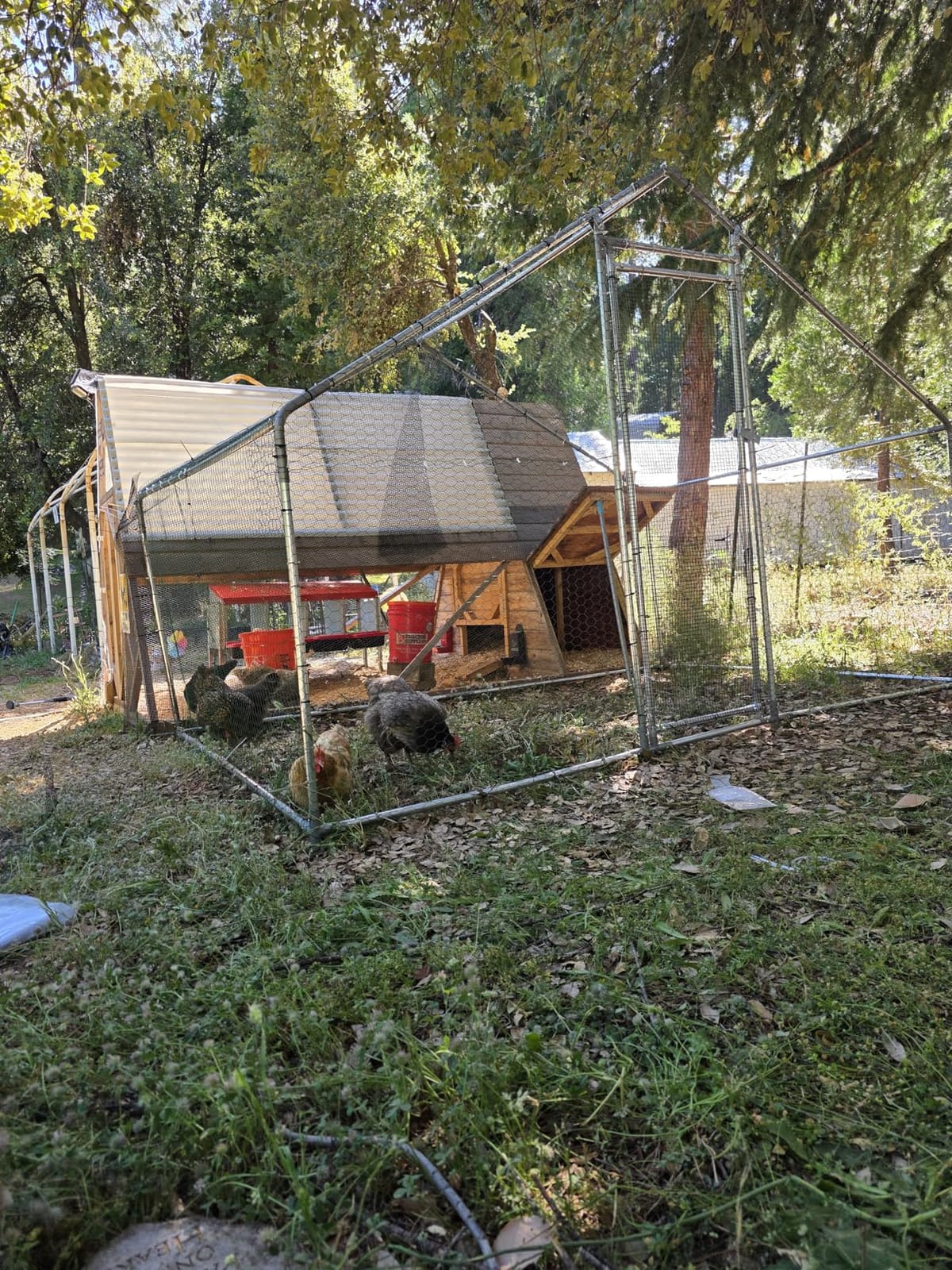 VEVOR Metal Chicken Coop, 6.56x6.56x6.56ft Large Walk-in Chicken Runs with Cover, Spire Roof Hen House Enclosure with Security Lock, Outdoor Duck Rabbit Cage Poultry Pen for Backyard, Farm, Yard customer photo 1